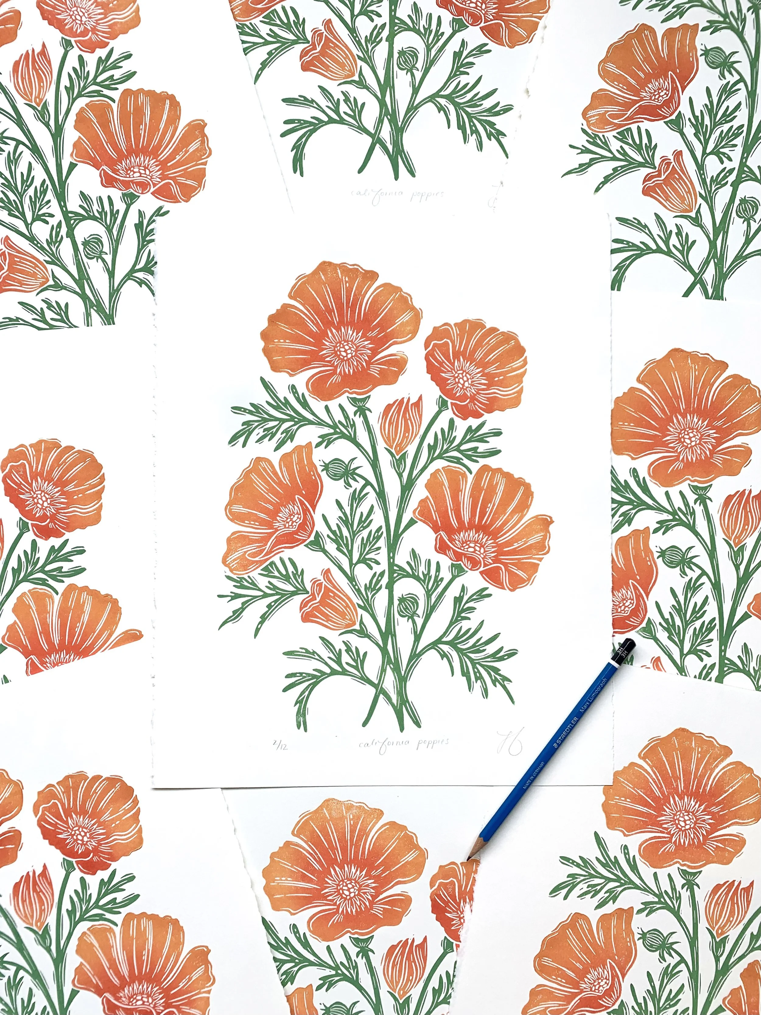 California Poppies