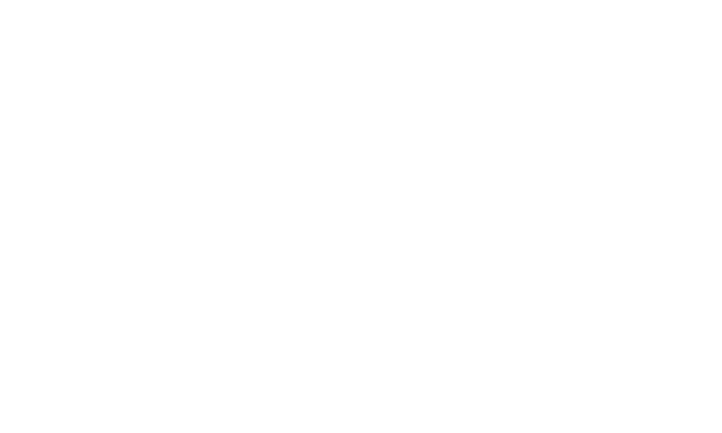 The Indianapolis Foundation