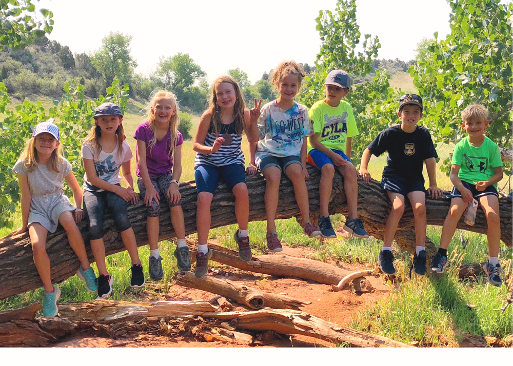 Building a Community: The Power of 3 Week Long Summer Camp Sessions
