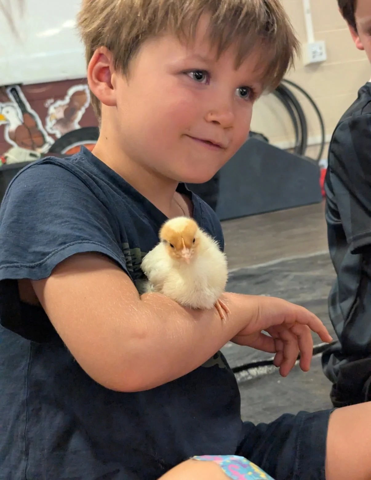 These chicks are so cute, are you KIDDING me?? 🐣#gowestcamps #adventureawaits #summercamp #farm #chickensofinstagram