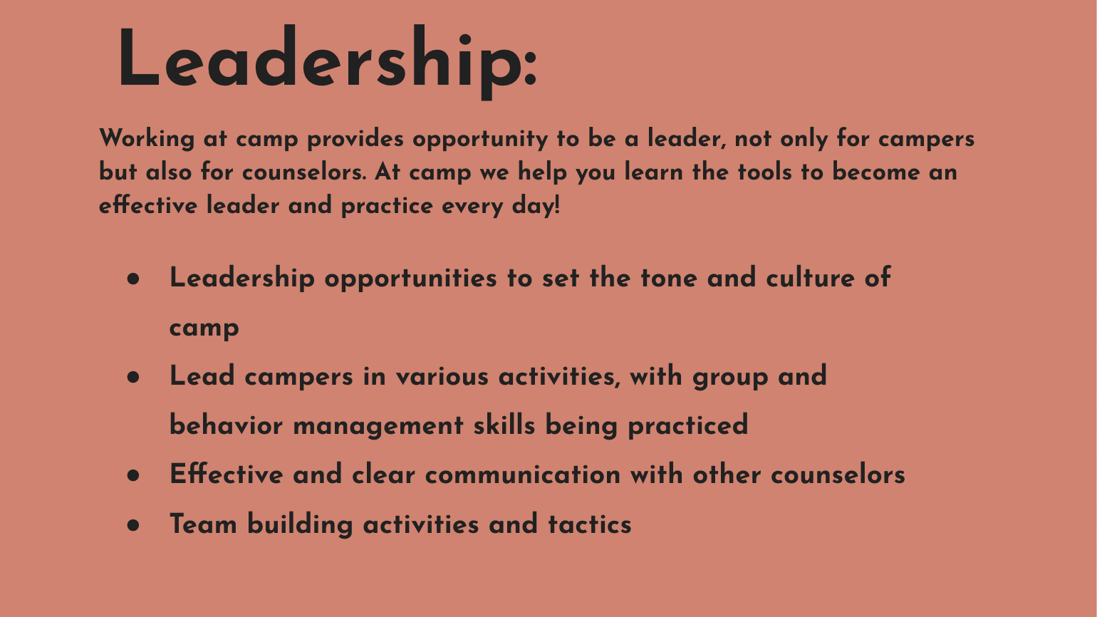 A pink background poster titled 'Leadership' in bold black text, describing leadership opportunities and skills developed at a camp.