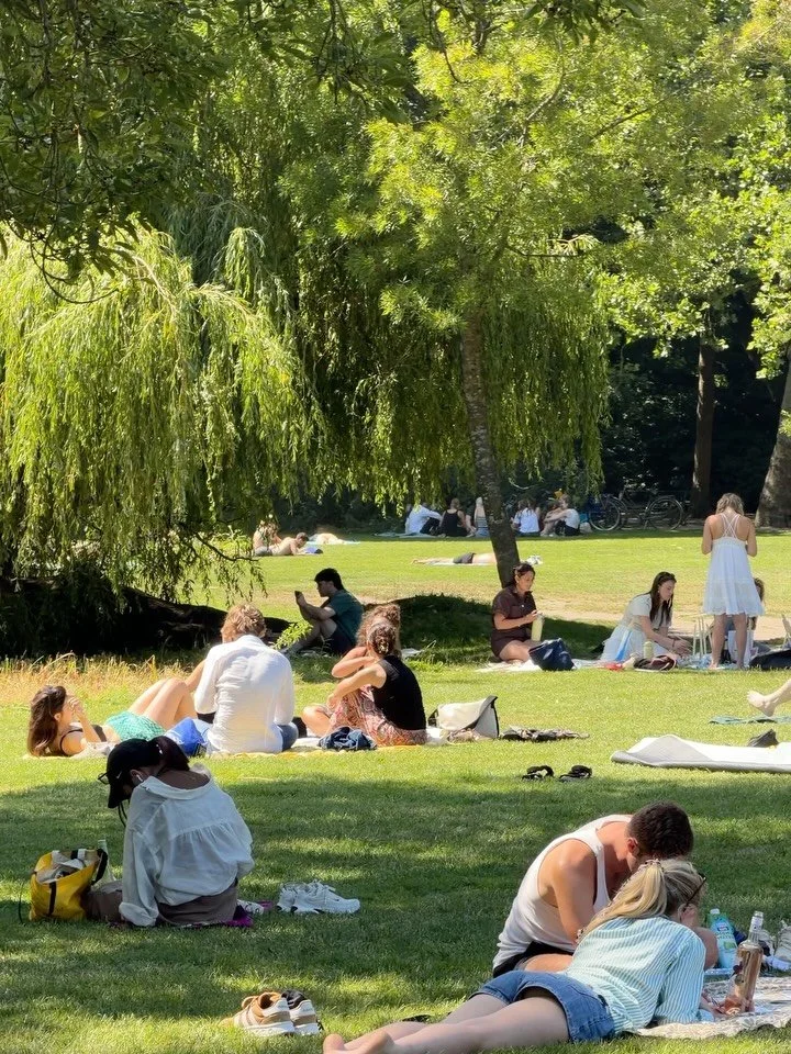 We should learn a thing or two from the Dutch🚲

#dutchsummer #visitamsterdam #amsterdamlife #aestheticvideo #aesthetictravel