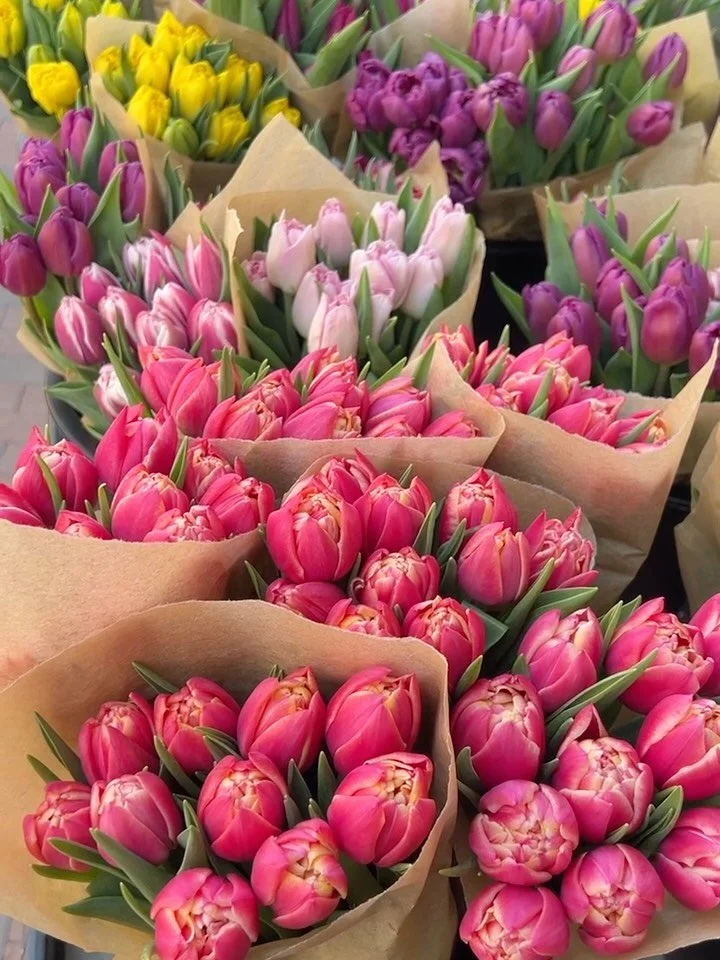 April showers bring May flowers 💐 

#aestheticphotography #springphotography #bostonspring #cityphotography #bostonphotography