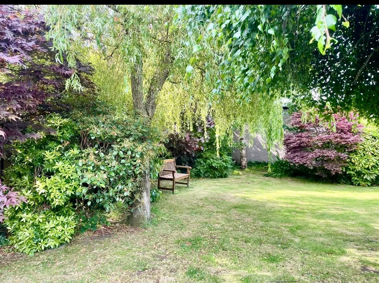 Beautiful Garden tidy up.