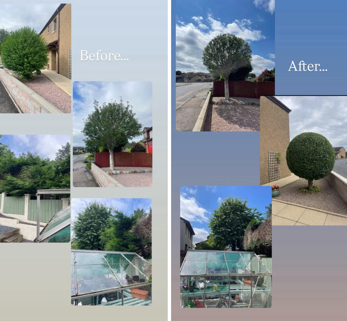 Before and After pictures of recent jobs.