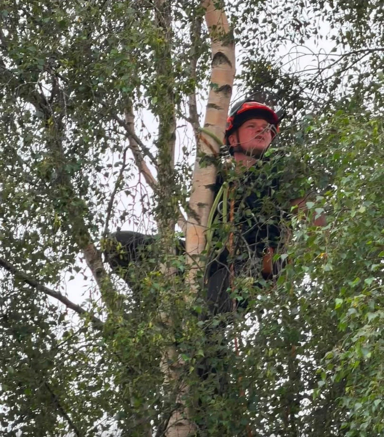 Tree Reduction.