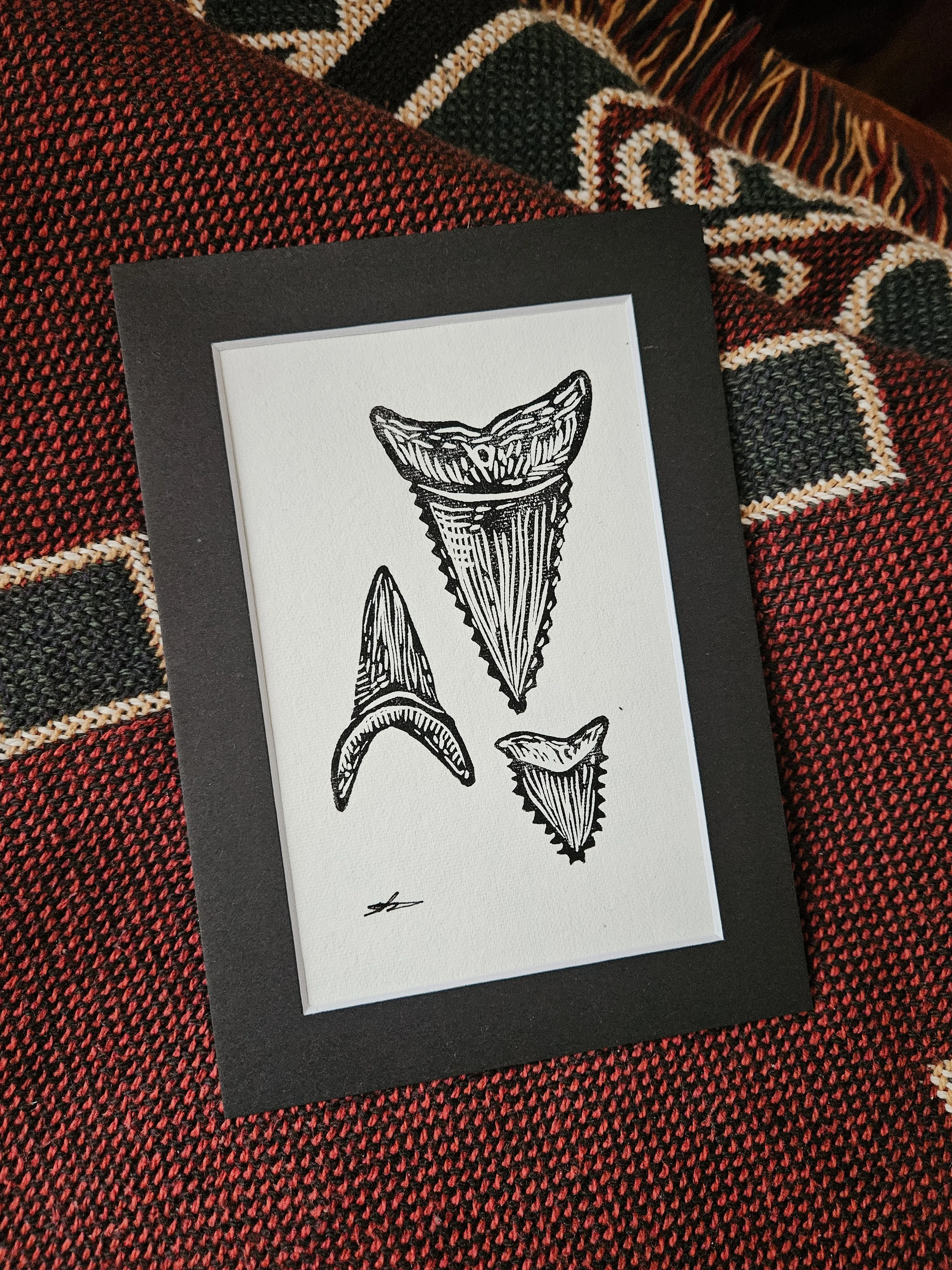 Shark Teeth #1