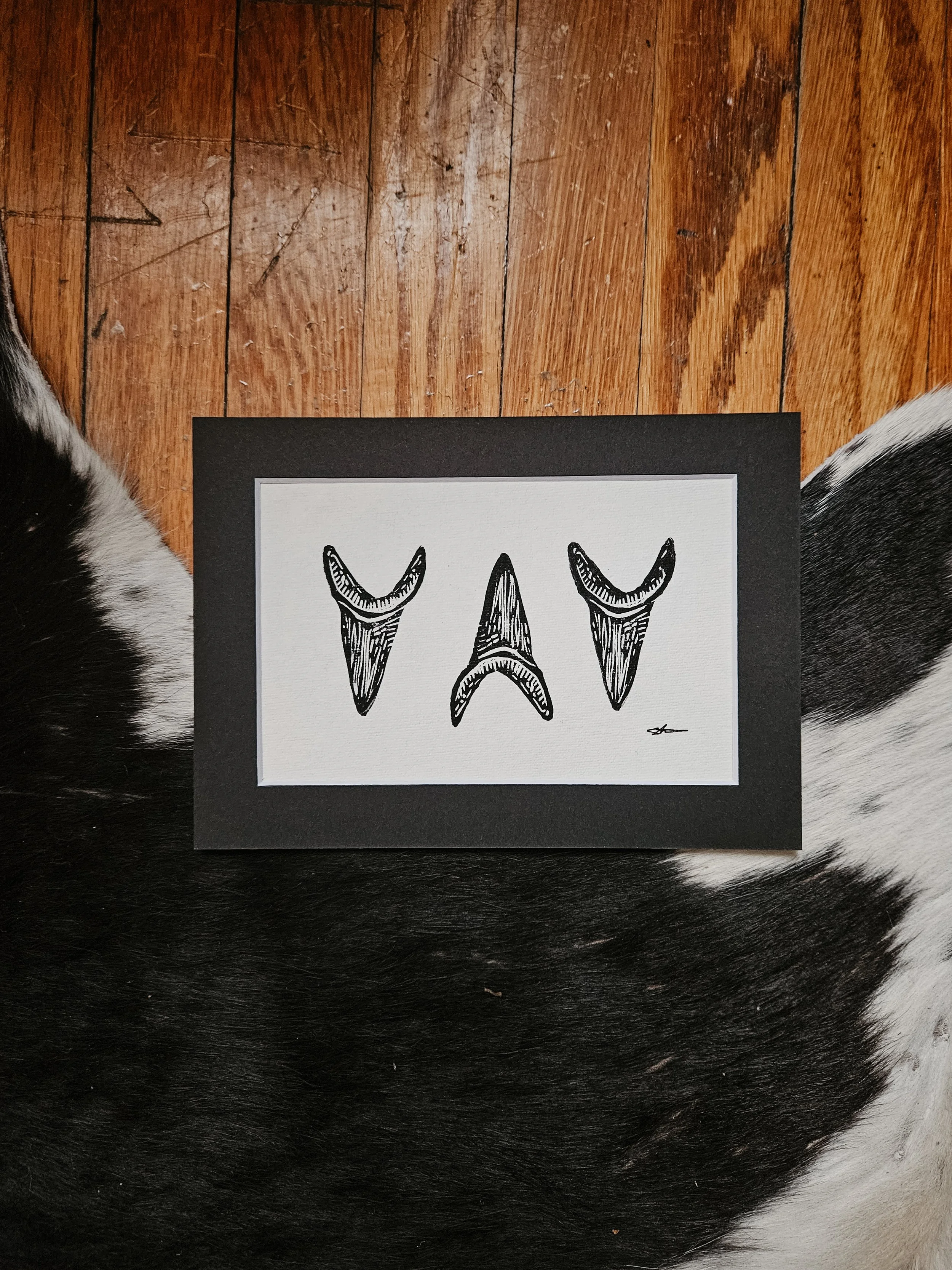 Shark Teeth #2