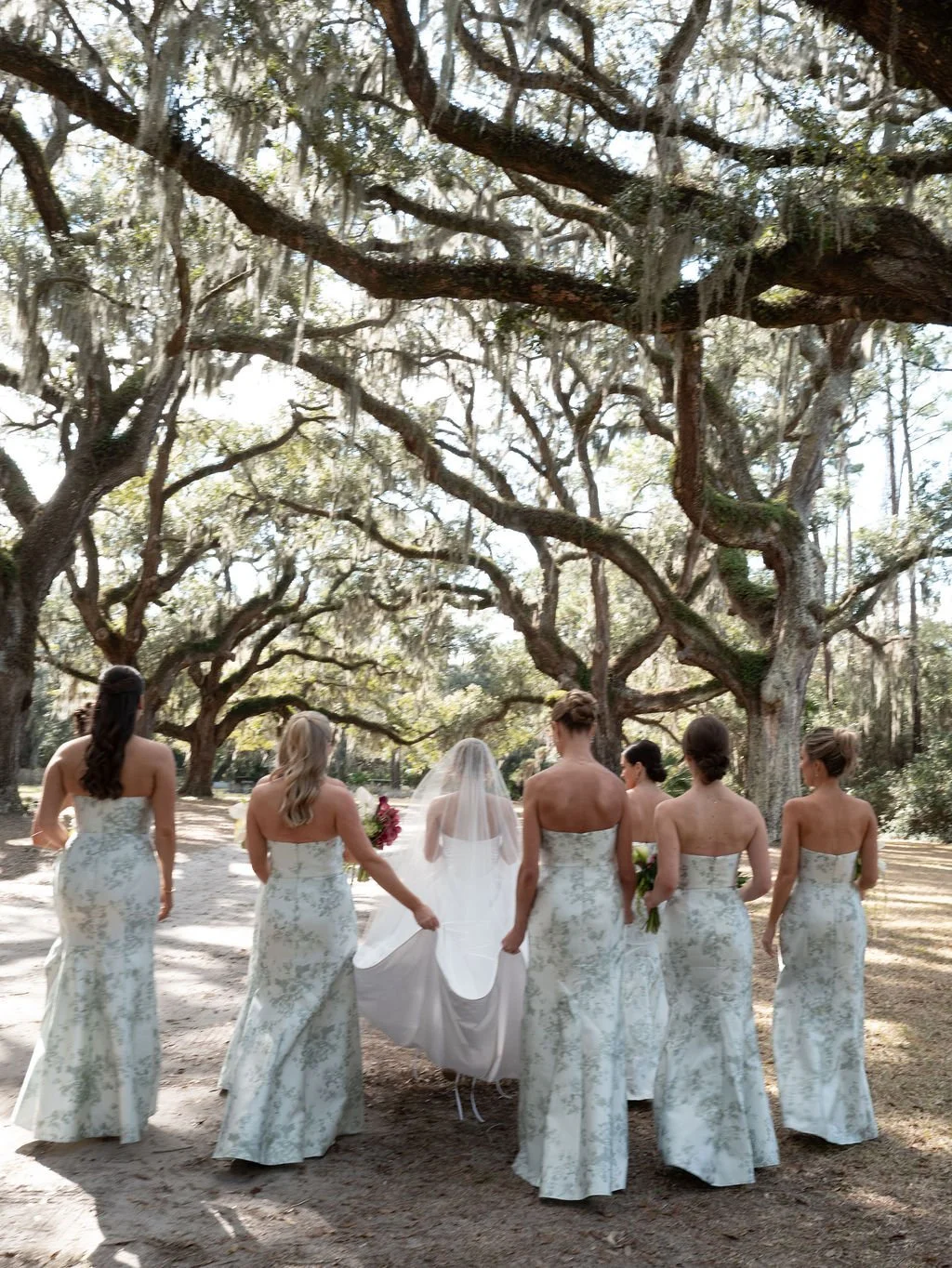 A bride with a veil and six bridesmaids in matching dresses walking through a wooded area with large, sprawling trees.