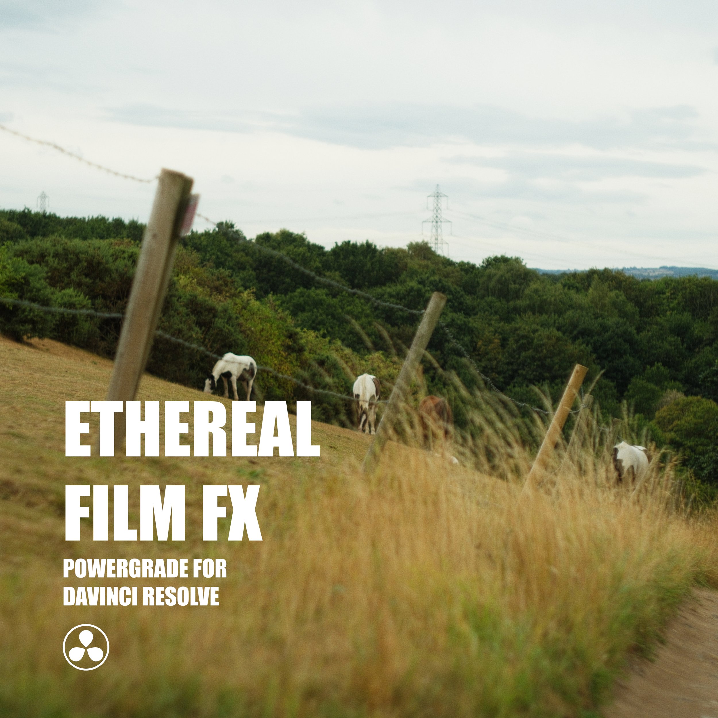 Ethereal Film FX - DaVinci Resolve Powergrade
