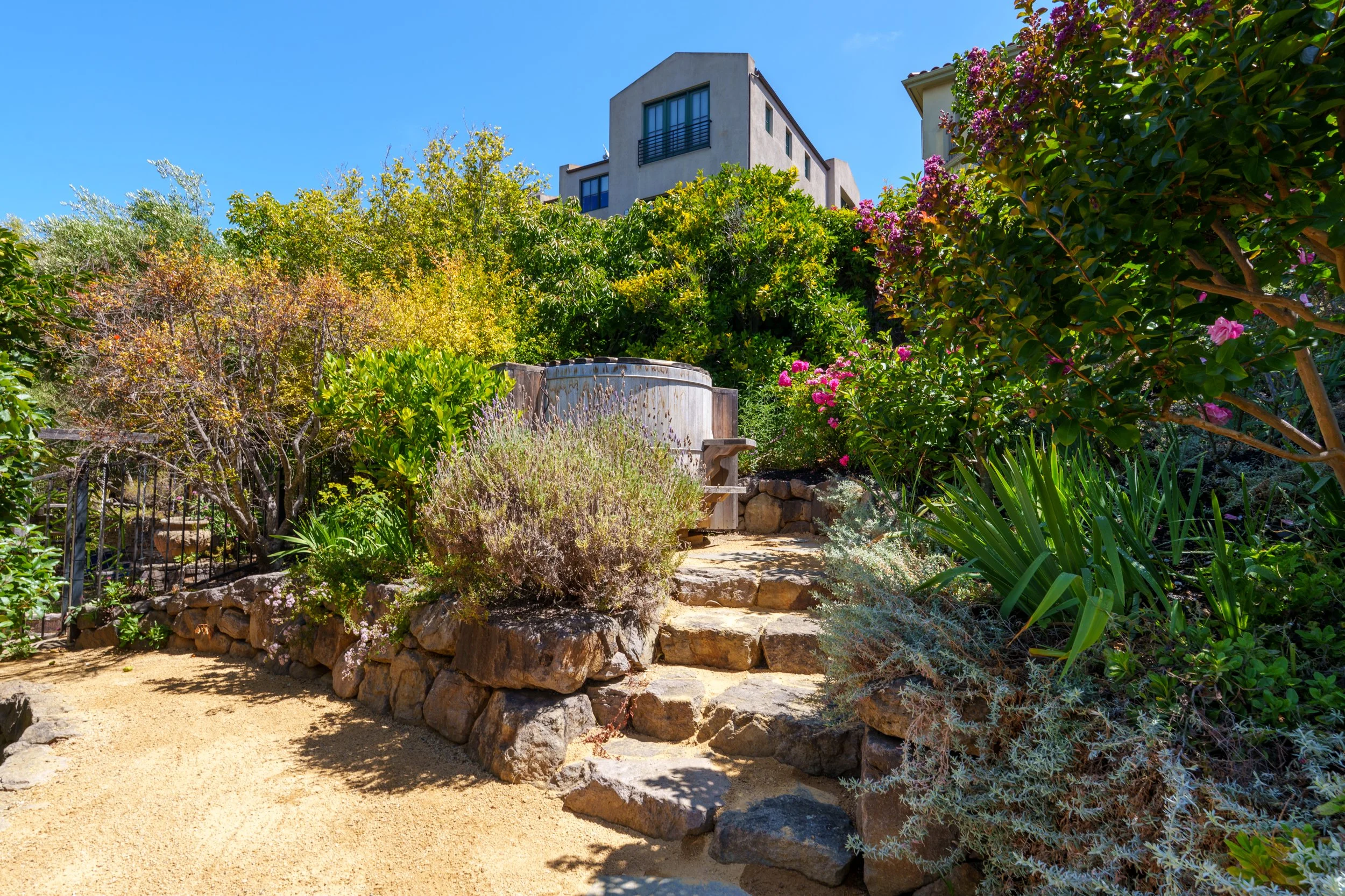 A landscaped backyard garden with stone steps, a wooden bench, various green shrubs, flowering bushes, and a modern white multi-story building in the background under a clear blue sky.