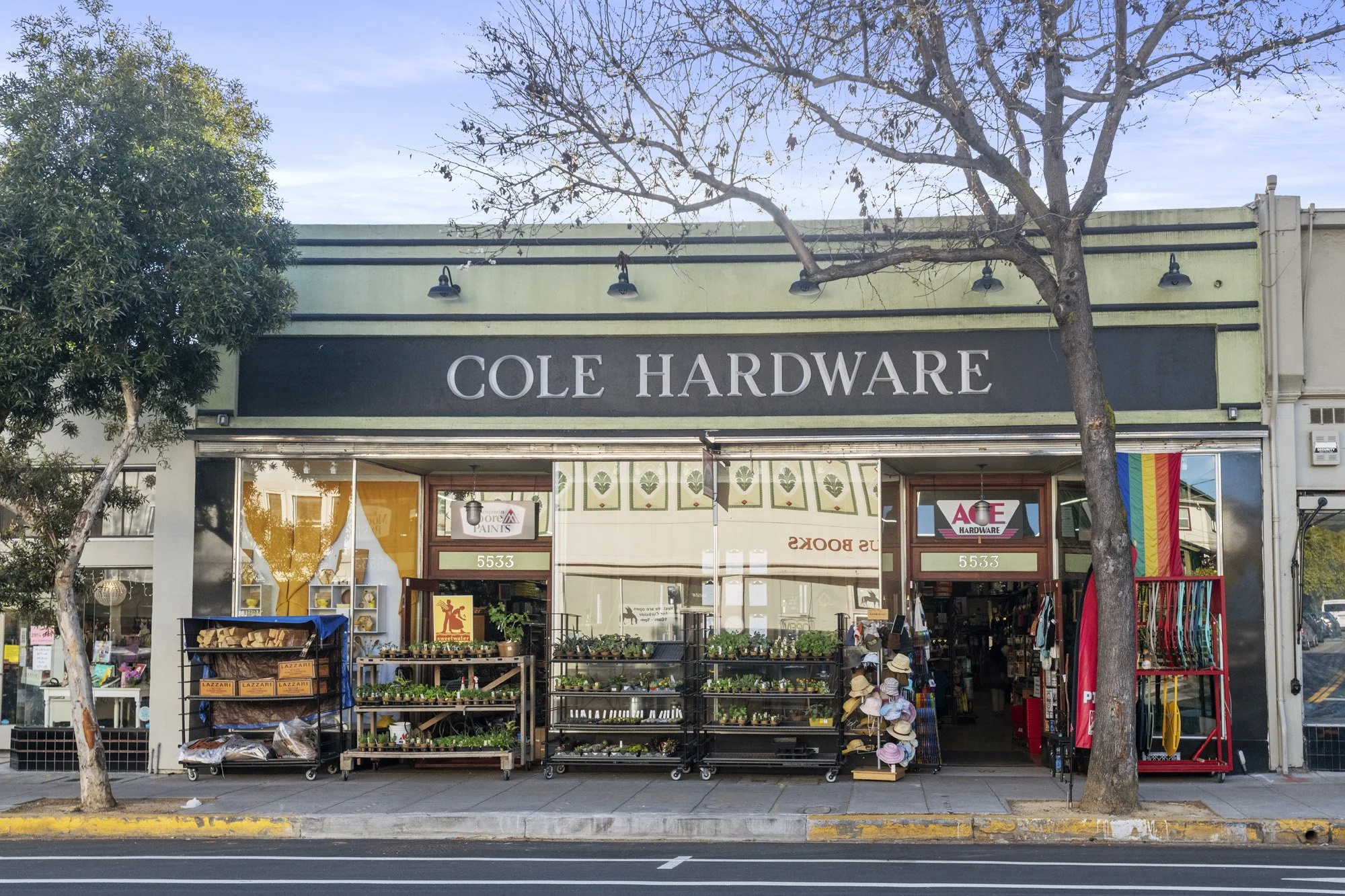 Small hardware and garden store with outdoor display of plants, hats, and gardening supplies, flanked by two trees on the sidewalk.
