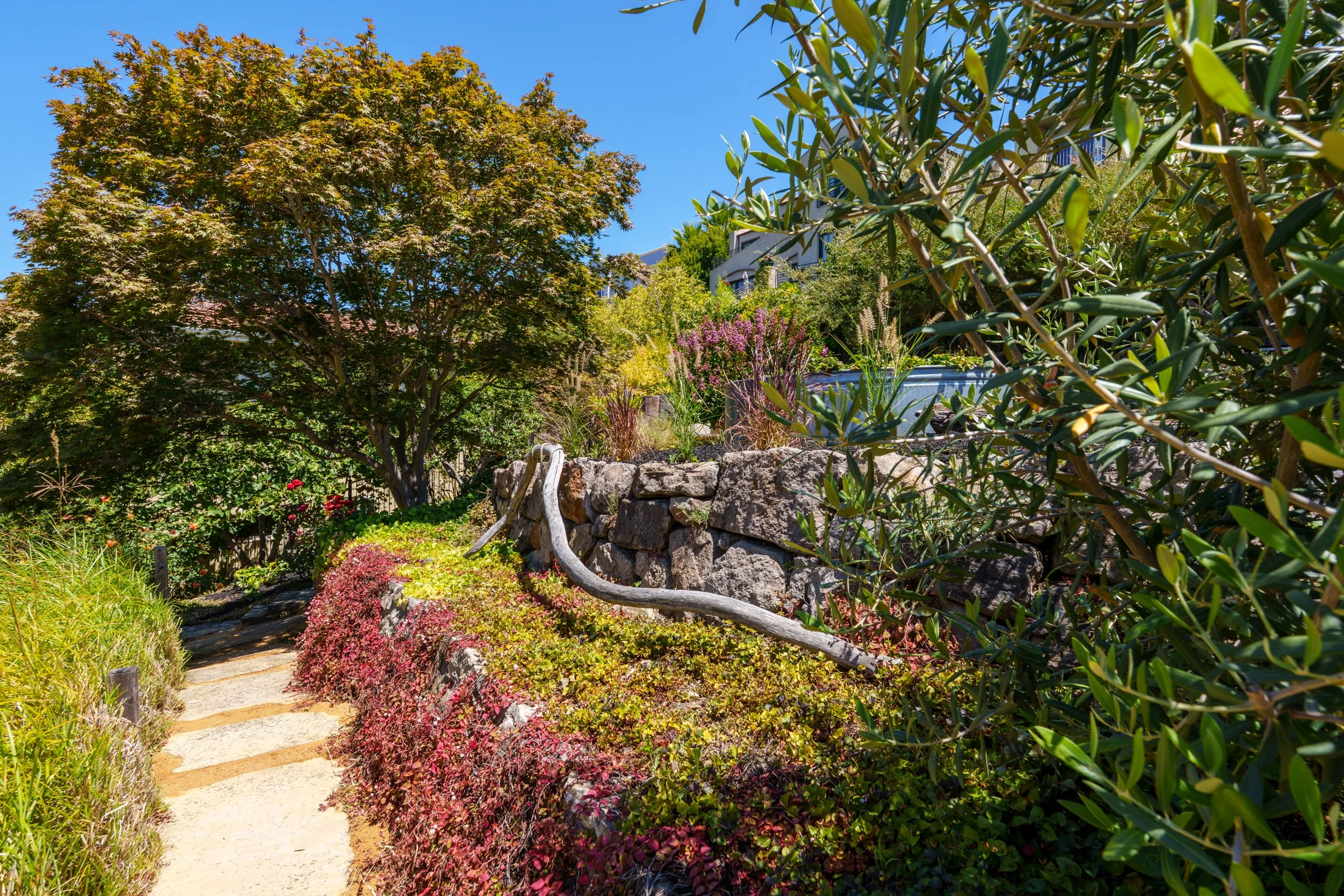 A garden with a dirt pathway bordered by blooming plants and bushes, surrounded by large green trees, with modern buildings visible in the background under a clear blue sky.