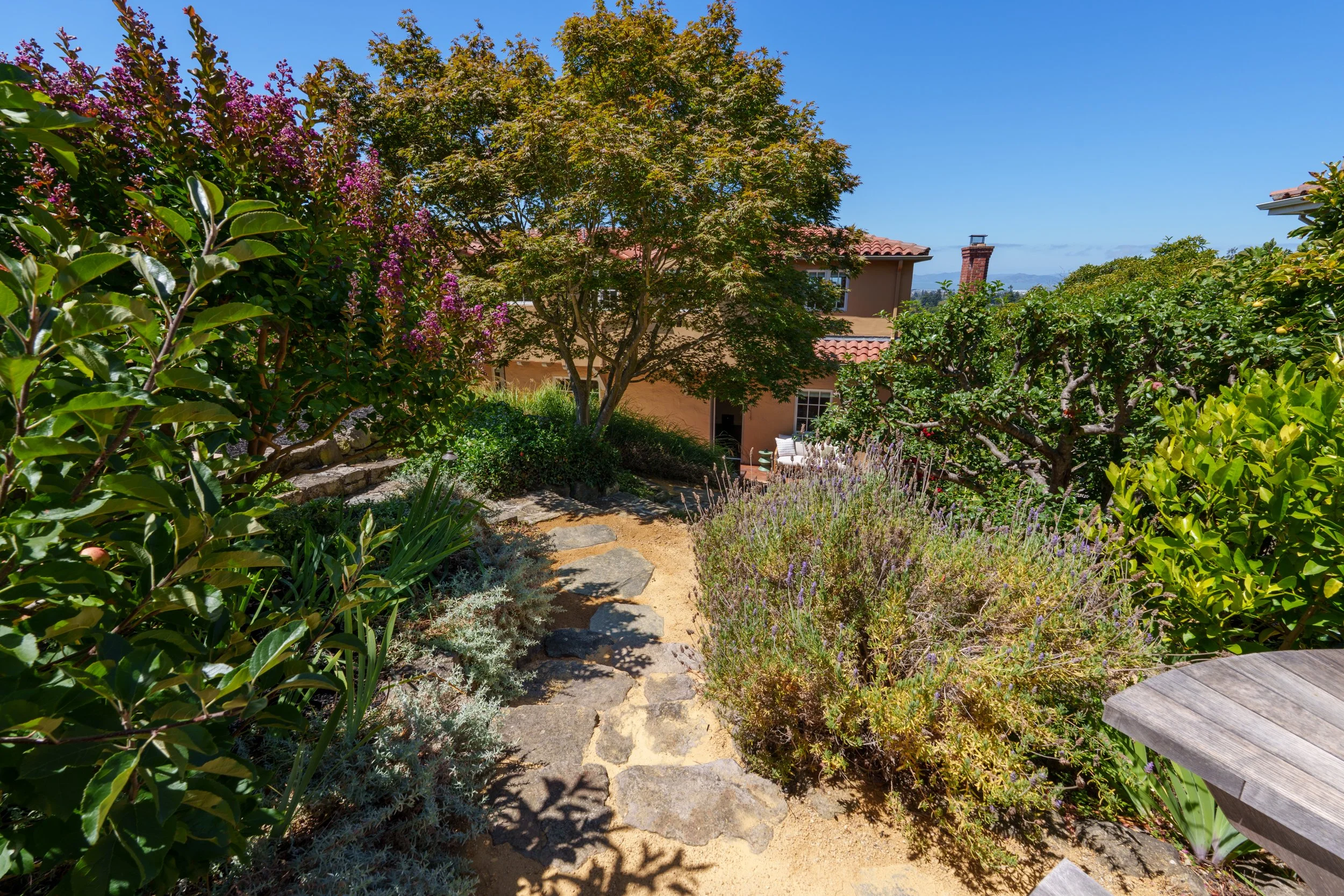A garden with a stone pathway, surrounded by various green plants and bushes, with a house partially visible in the background and a clear blue sky overhead.