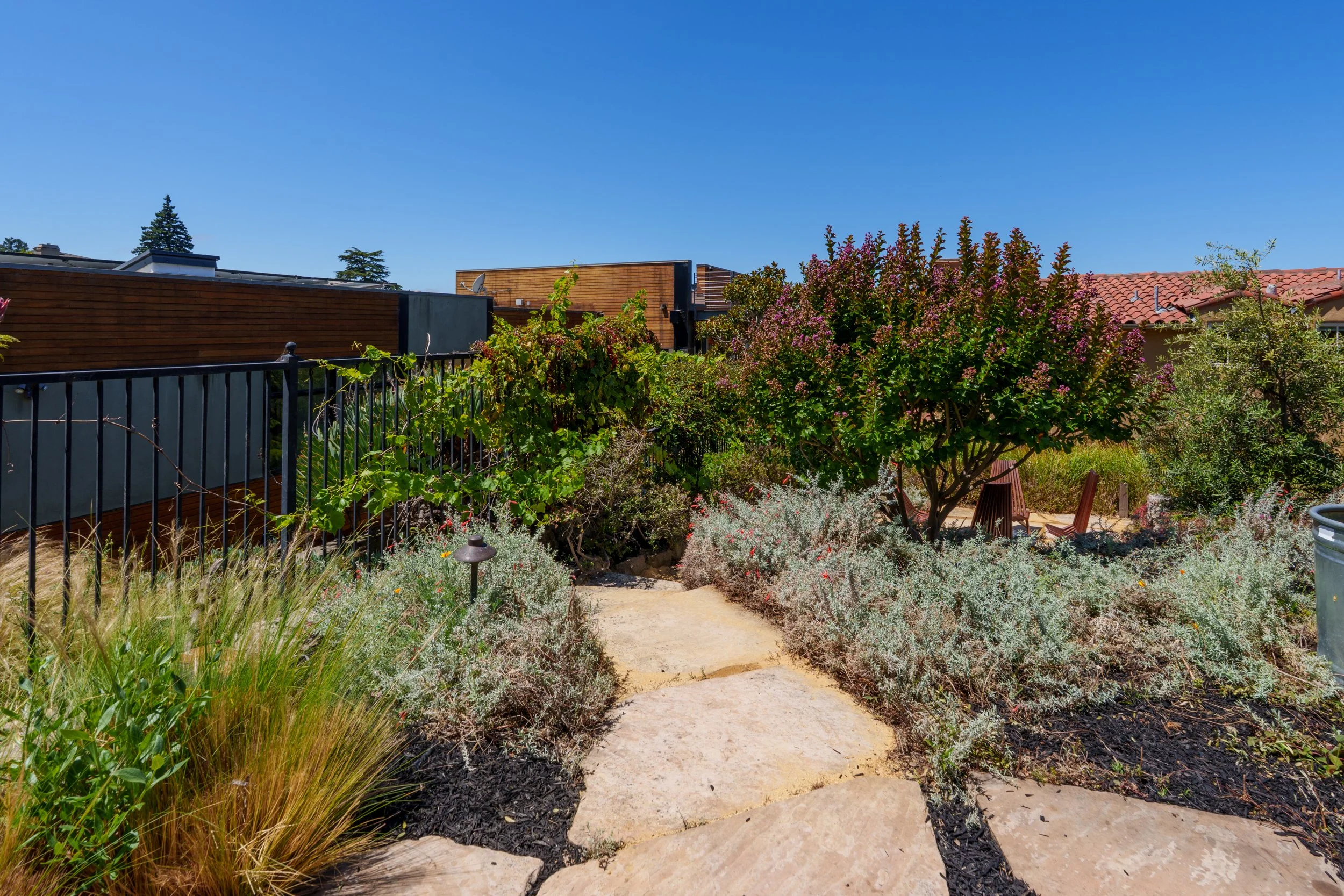 A backyard garden with a dirt pathway, various shrubs and plants, a black metal fence, and rooftops of houses in the background under a clear blue sky.