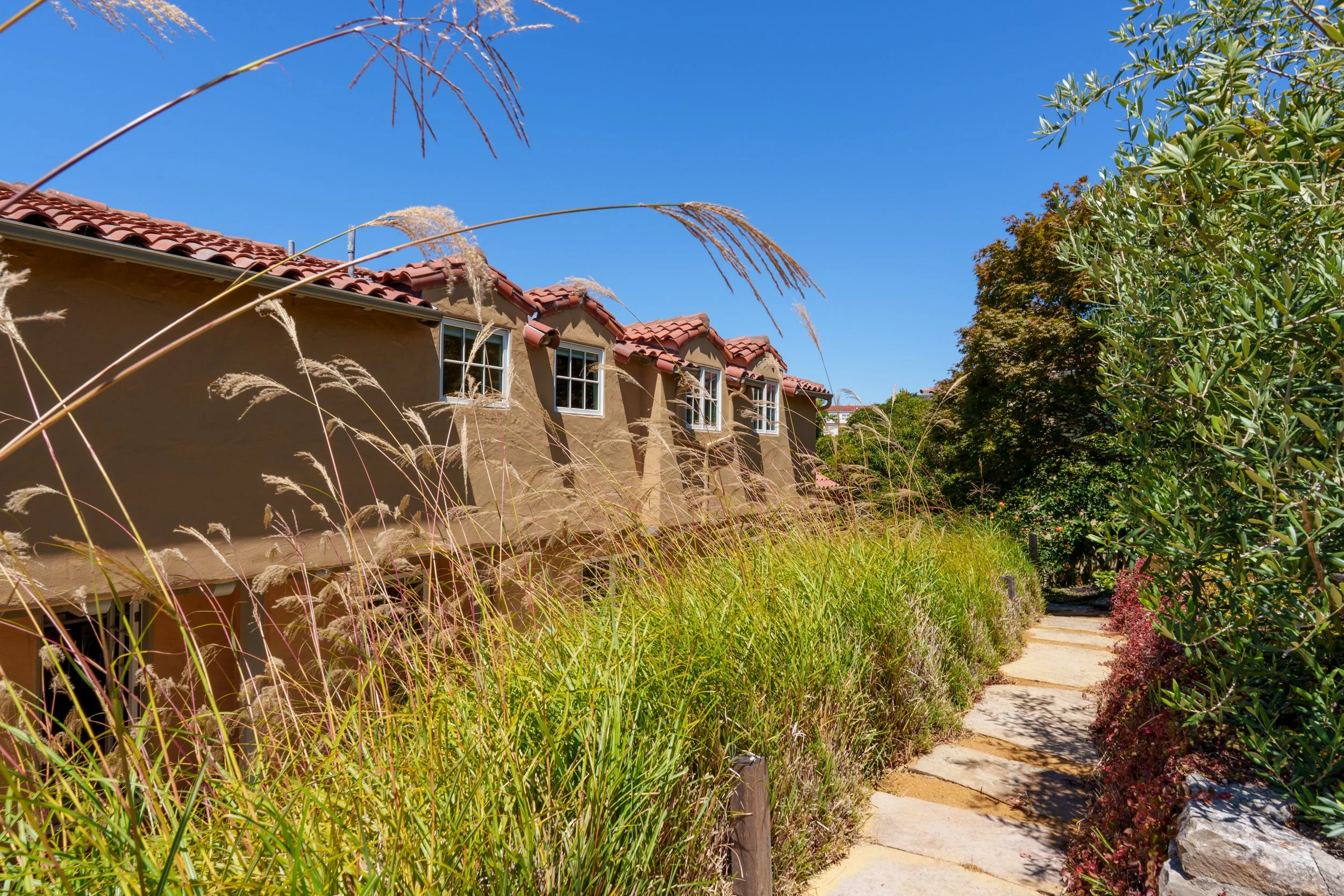 A sidewalk bordered by tall grasses and shrubs leading past residential buildings with red tile roofs under a bright blue sky.