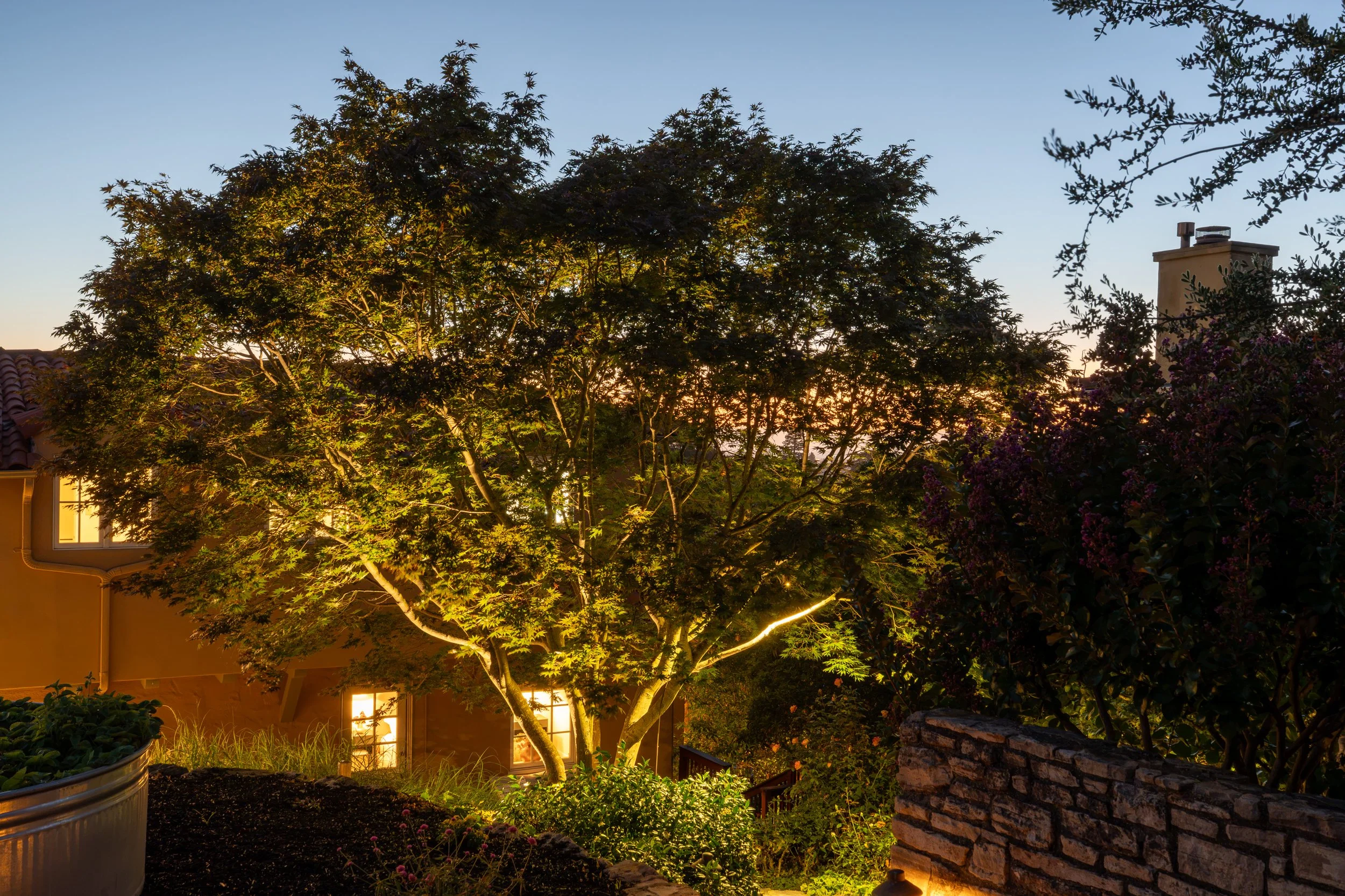 A backyard at dusk featuring a large tree illuminated from below, with a house and lit windows in the background and floral plants in the foreground.