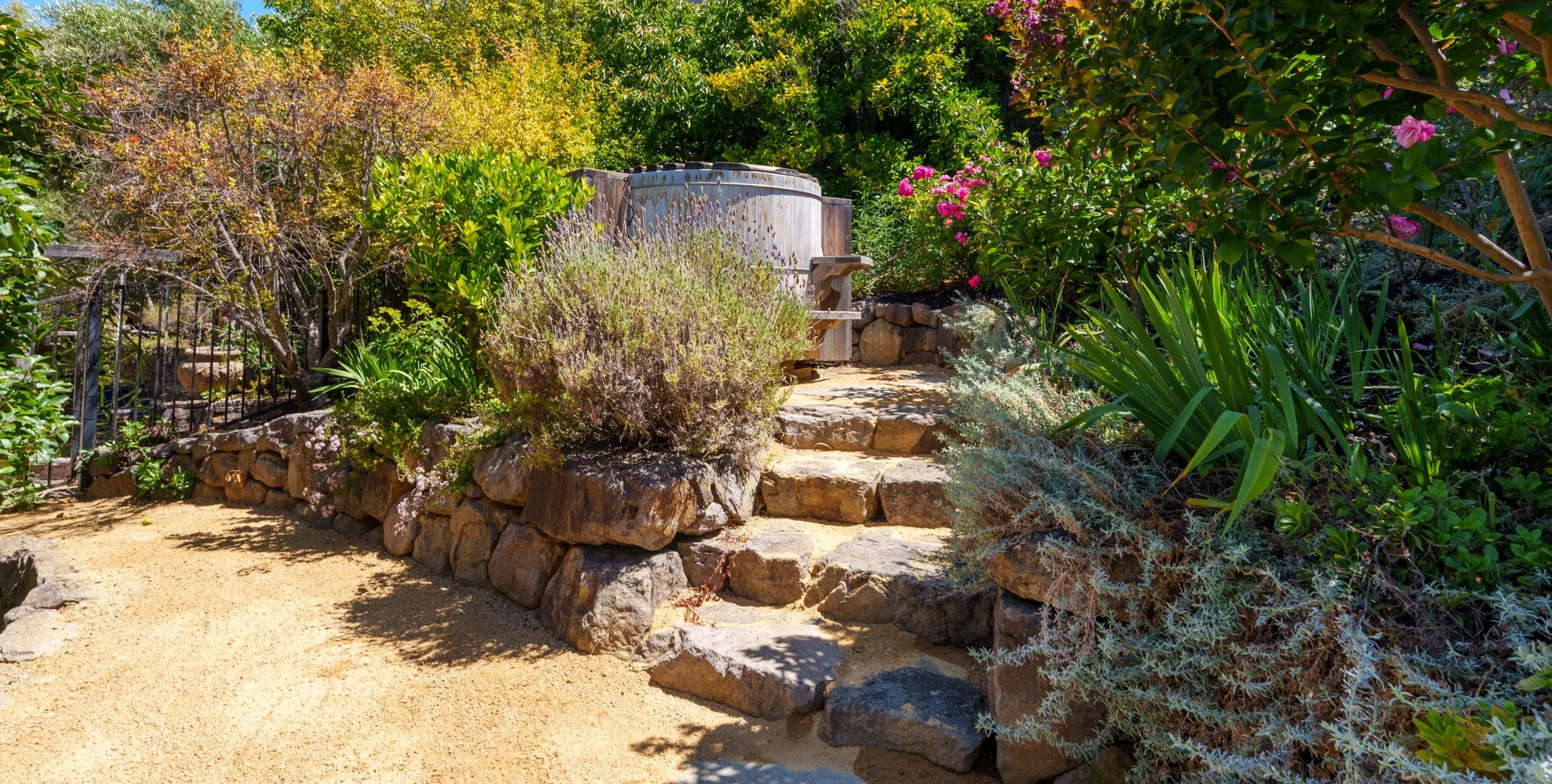 A colorful garden with stone steps surrounded by various green plants, bushes, and blooming pink flowers.
