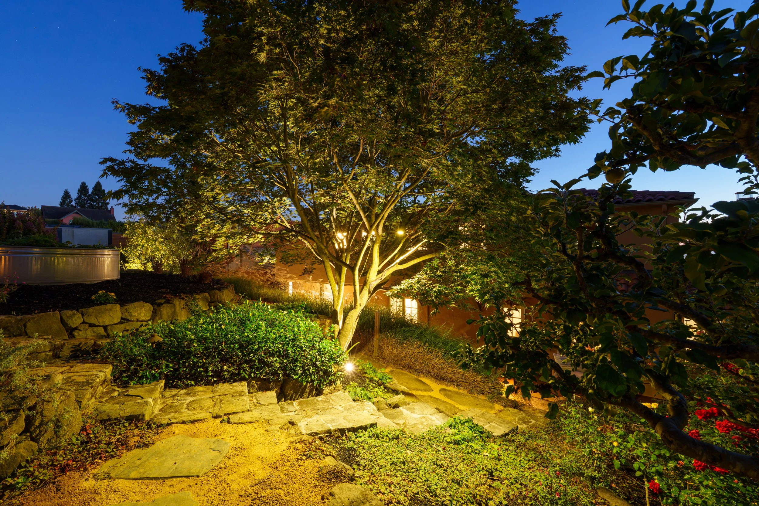 Backyard garden at dusk with illuminated tree, stone steps, and plants.