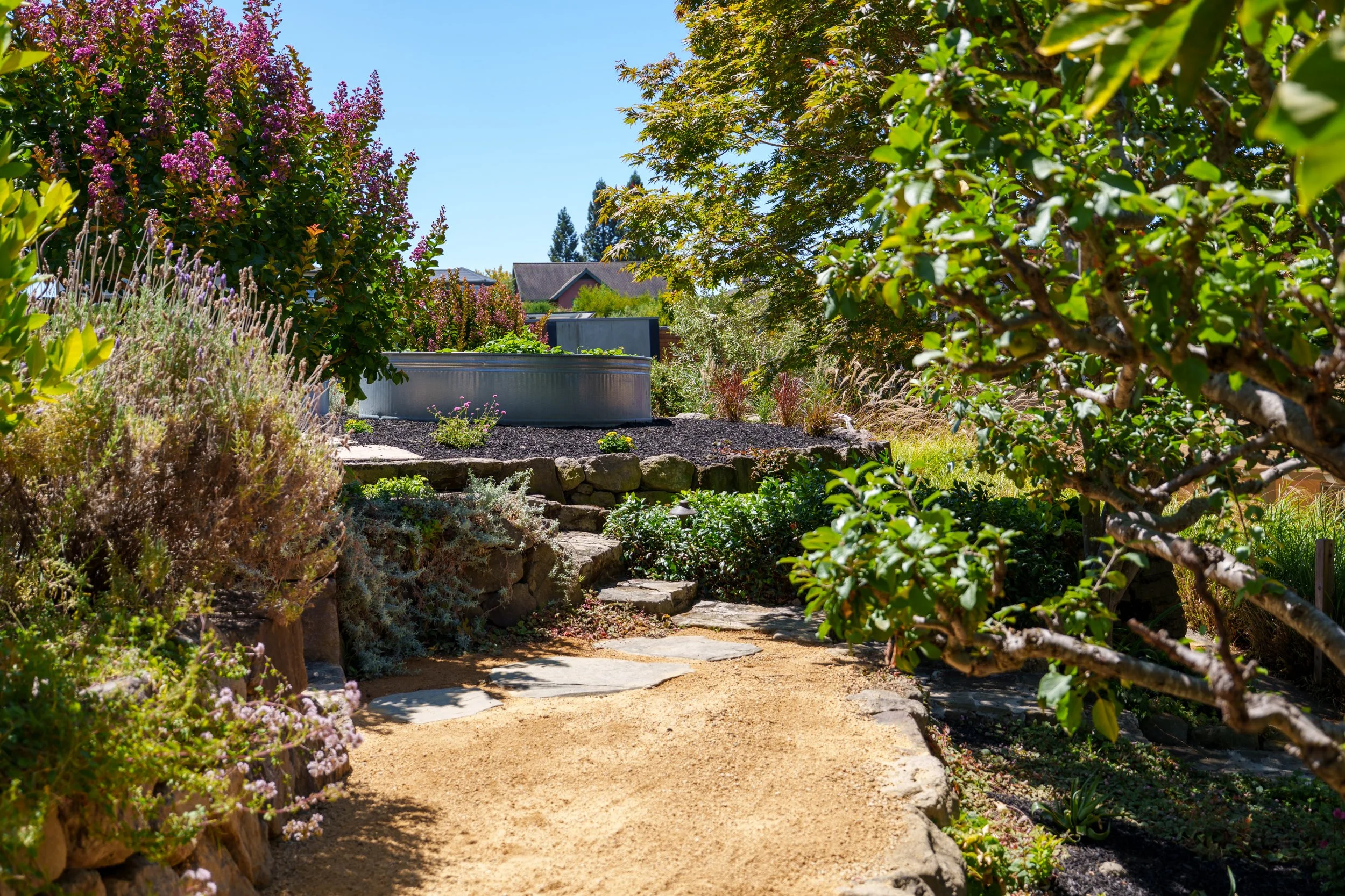 A garden pathway bordered by lush green, purple, and pink flowering bushes under a bright blue sky.