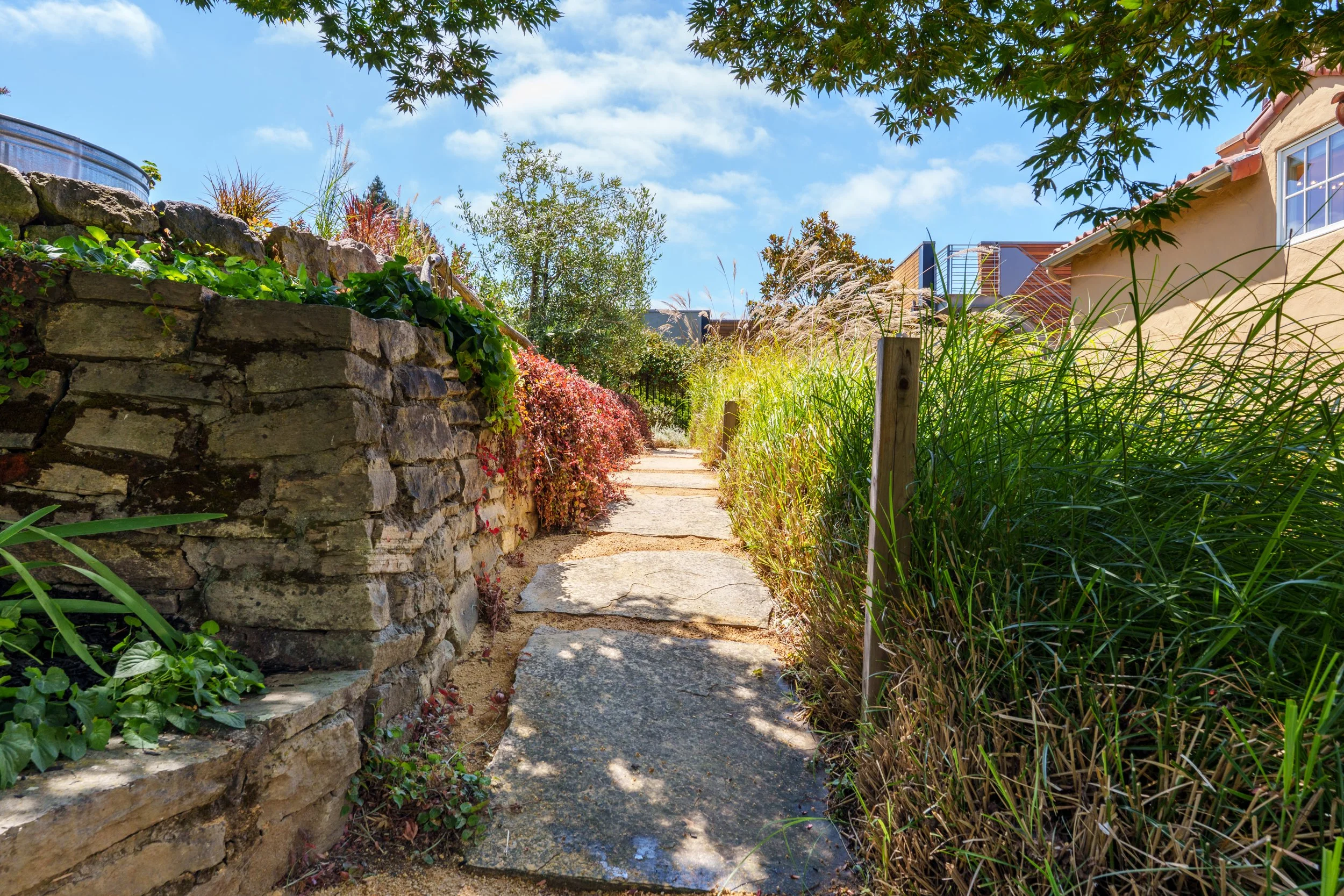 A narrow pathway bordered by a stone wall with green plants and flowers on the left side, and tall grass and bushes on the right, with a house on the right side and trees in the background under a partly cloudy sky.