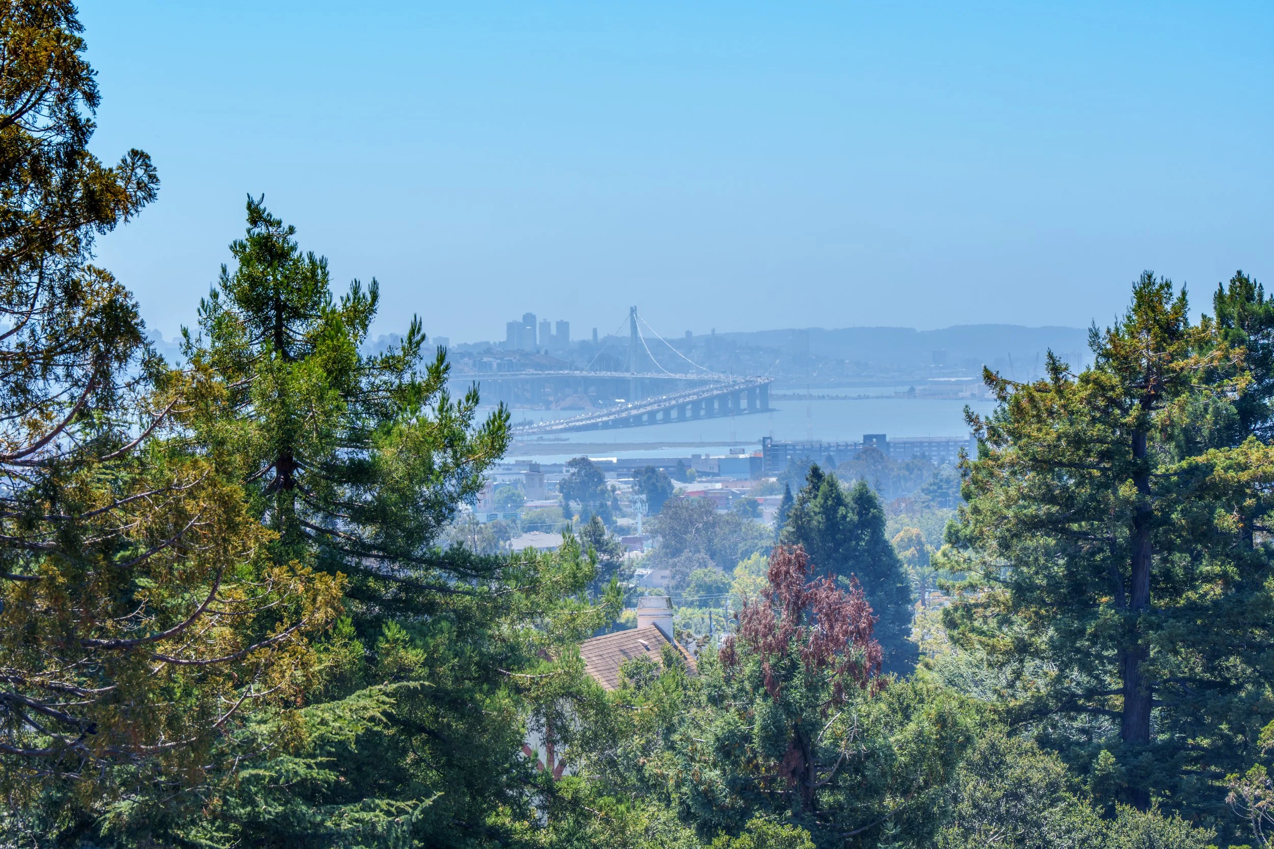 A scenic view of a city skyline with a bridge spanning a body of water, framed by tall green trees in the foreground under a clear blue sky.