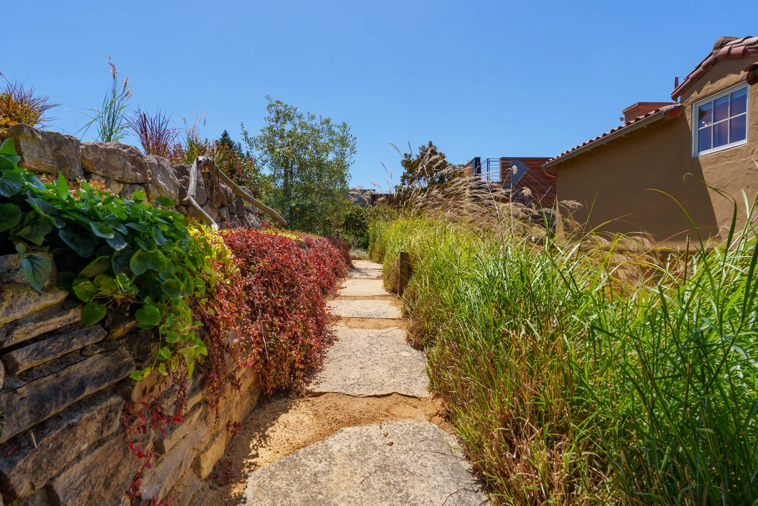 A narrow pathway with stepping stones runs through a garden with various plants, shrubs, and grasses, bordered by a stone wall on the left and taller grasses on the right, with a house with a red-tiled roof in the background under a blue sky.