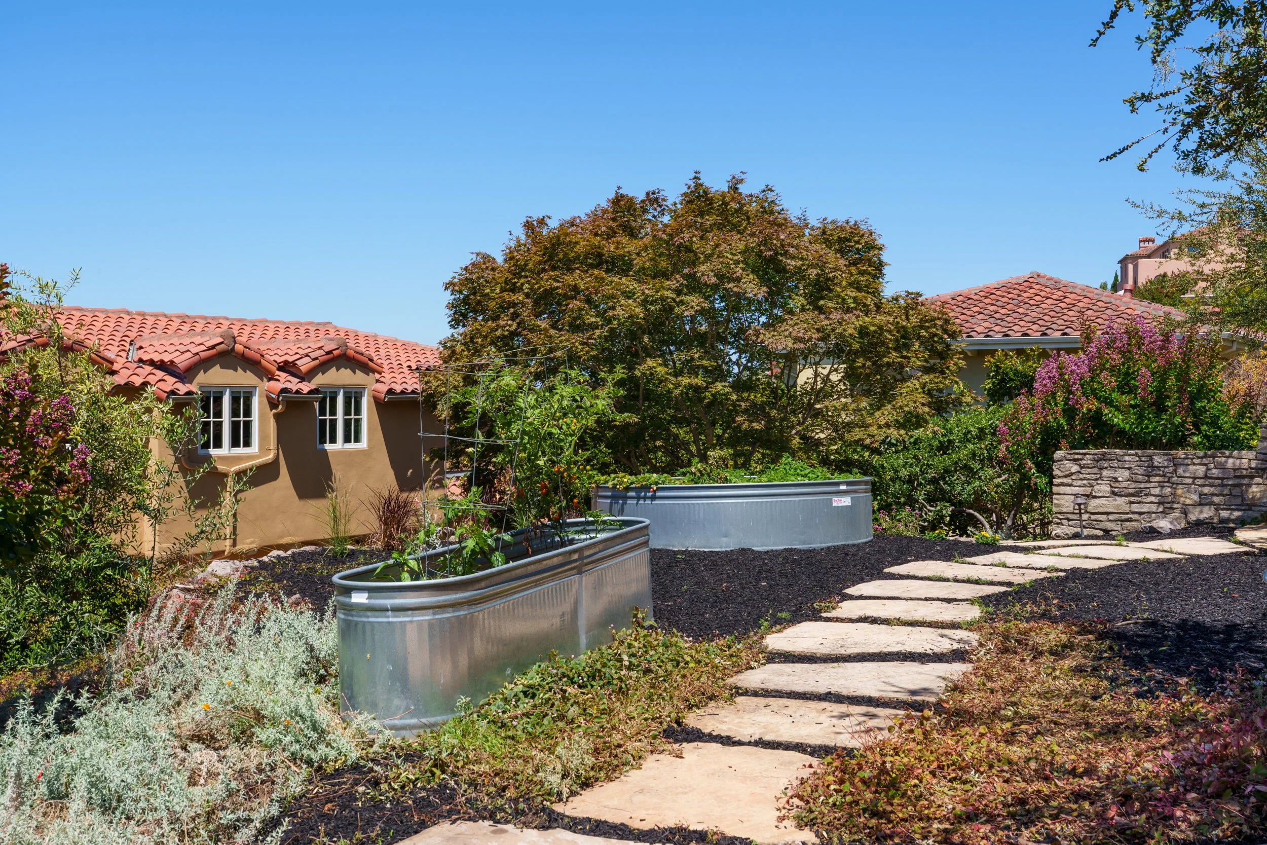 Residential backyard with a pathway, raised vegetable garden beds, and a variety of trees and plants under a clear blue sky.