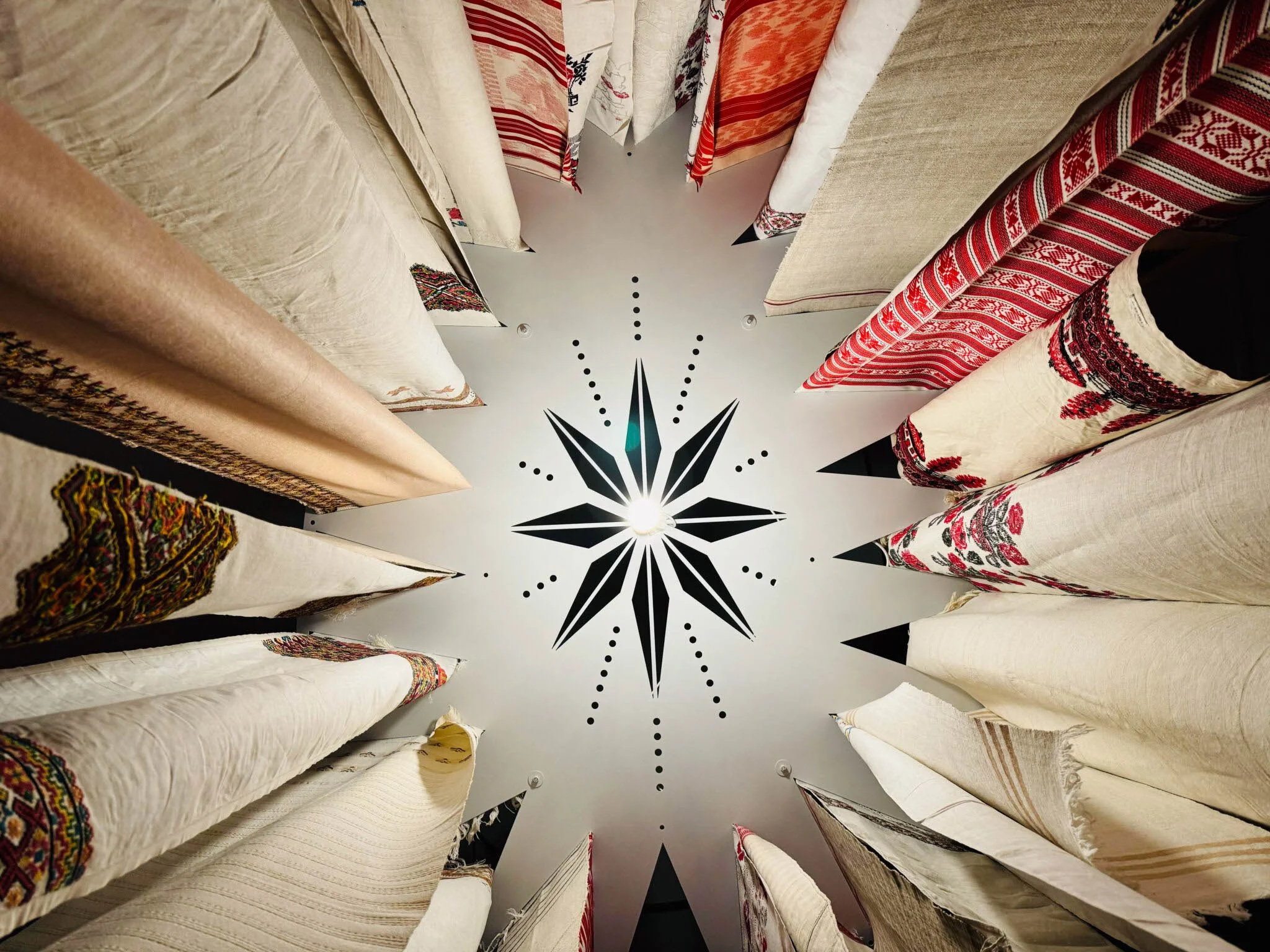 amalie-atkins_hold-the-star_ukrainian-museum-of-canada_2024 (1).jpg