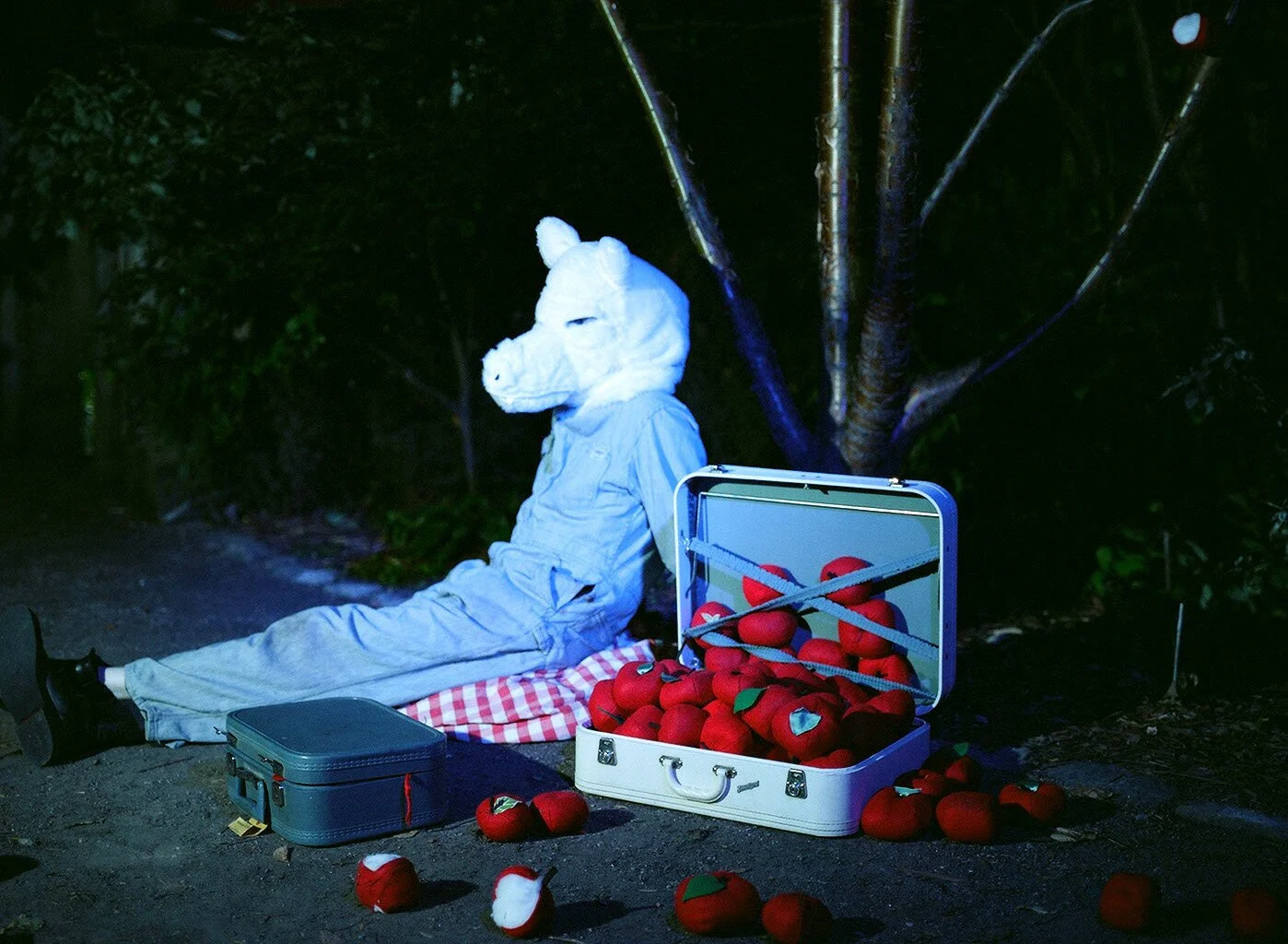 amalie-atkins_wolf-sitting-with-apples_scenes-from-a-secret-world-2009.jpg