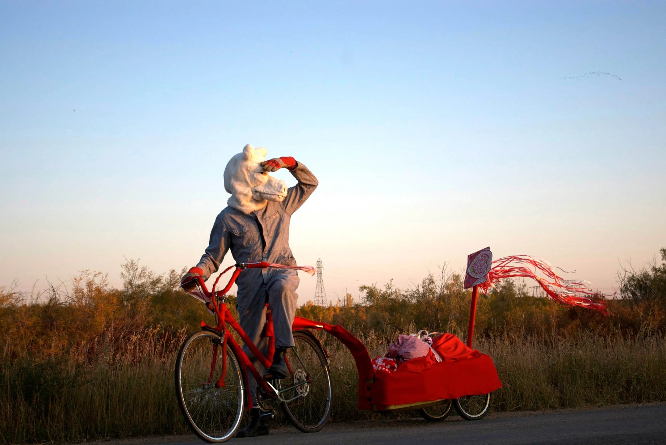 amalie-atkins_wolf-on-bike_scenes-from-a-secret-world-2009 .jpg