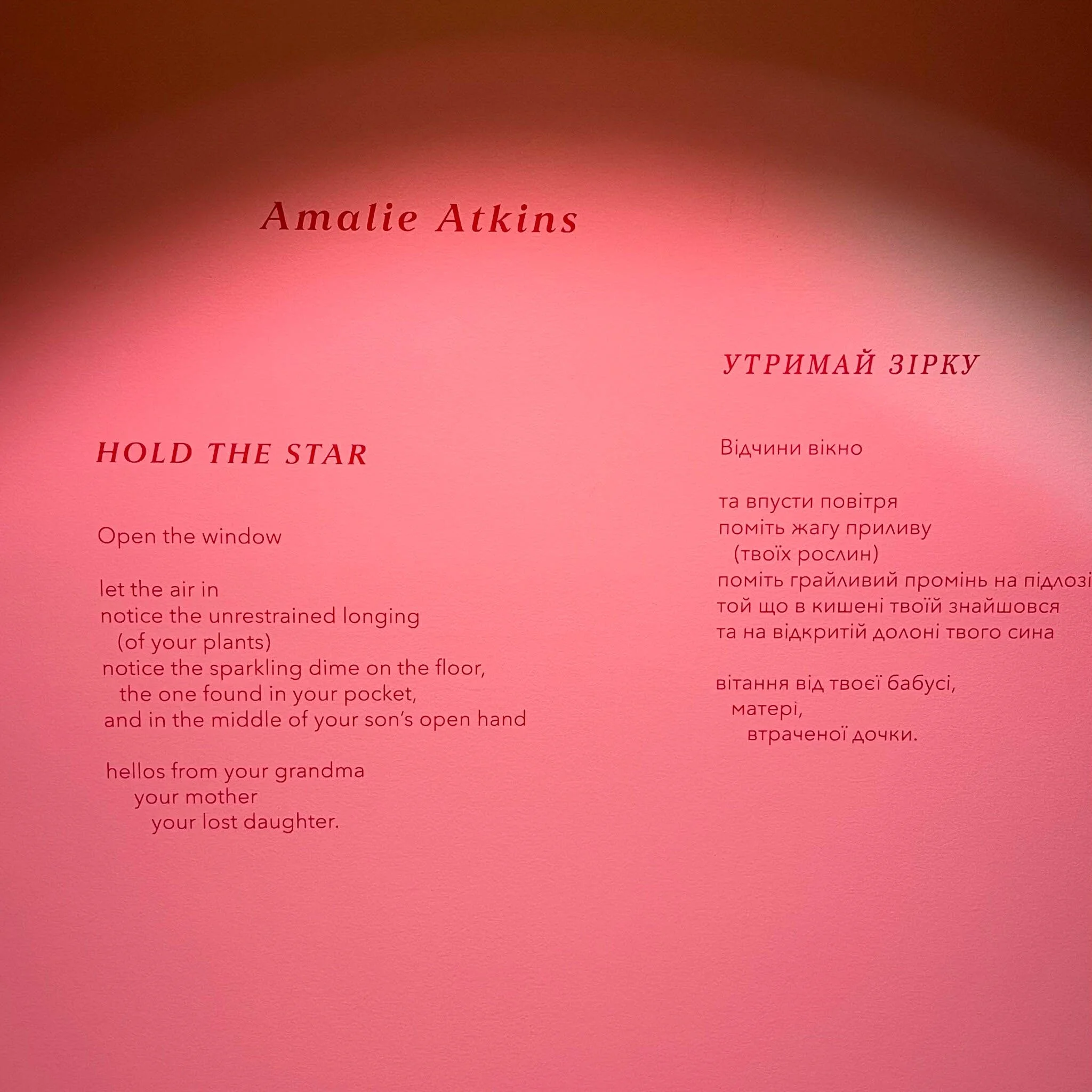 amalie-atkins_hold-the-star_ukrainian-museum-of-canada_2024 (5).jpg