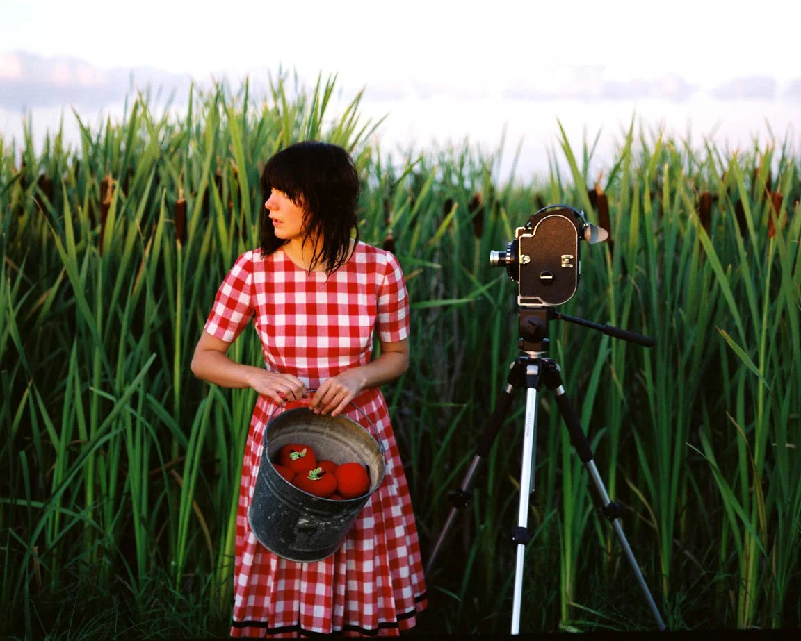 amalie-atkins_girl-with-bolex_scenes-from-a-secret-world-2009.jpg