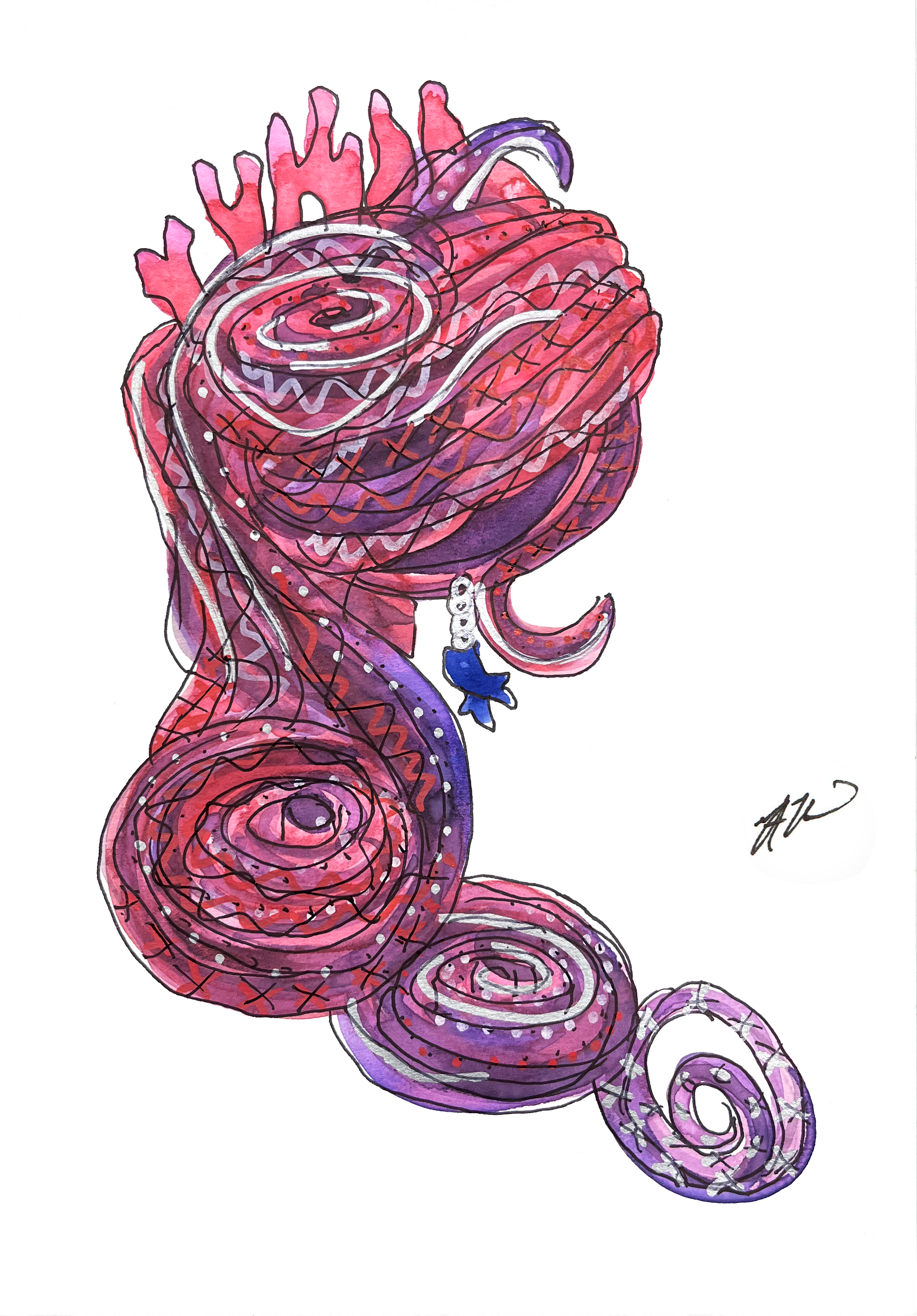 Coral Hat.png