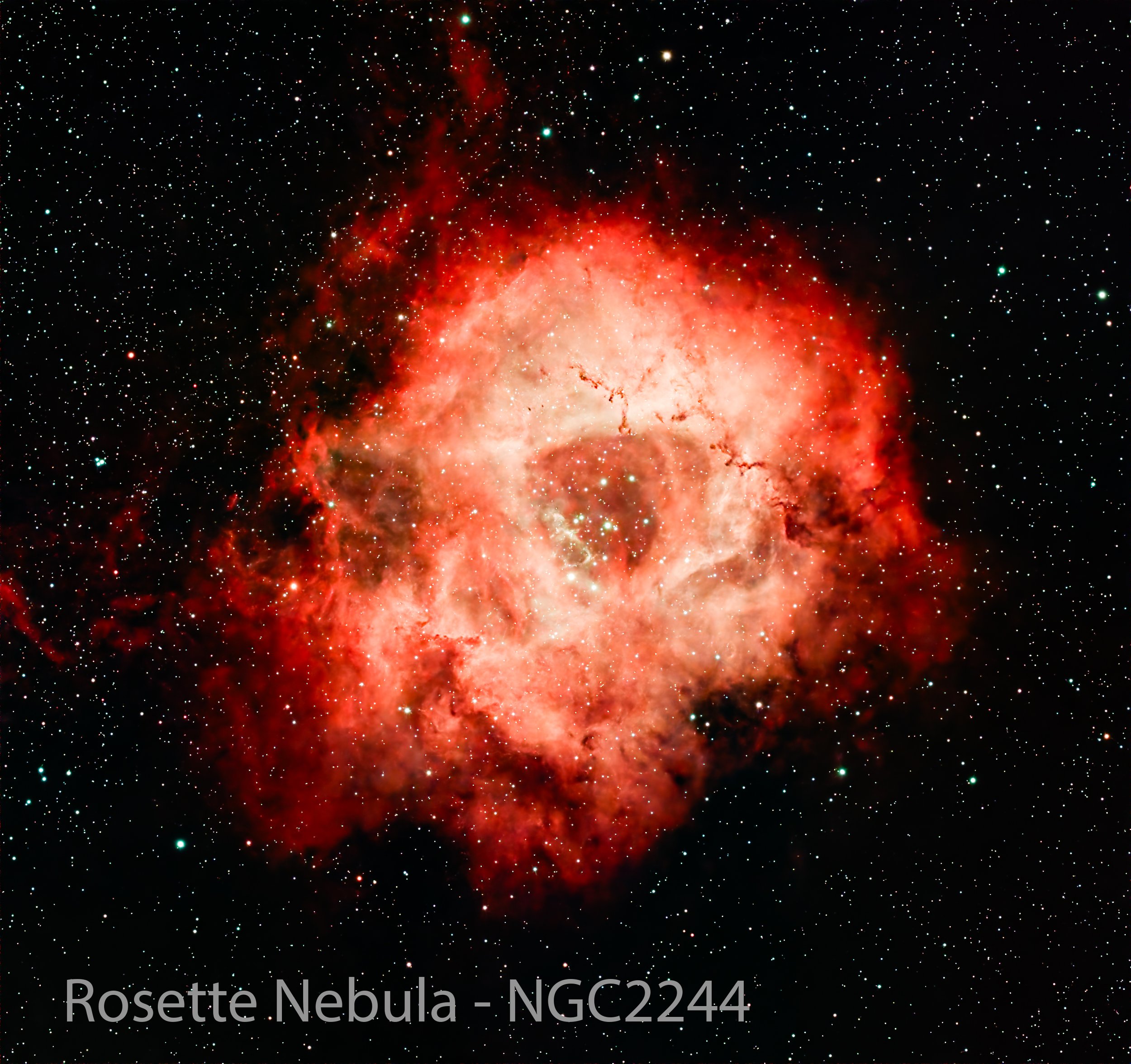 A vibrant image of the Rosette Nebula, a bright, colorful cosmic cloud surrounded by numerous stars in deep space.