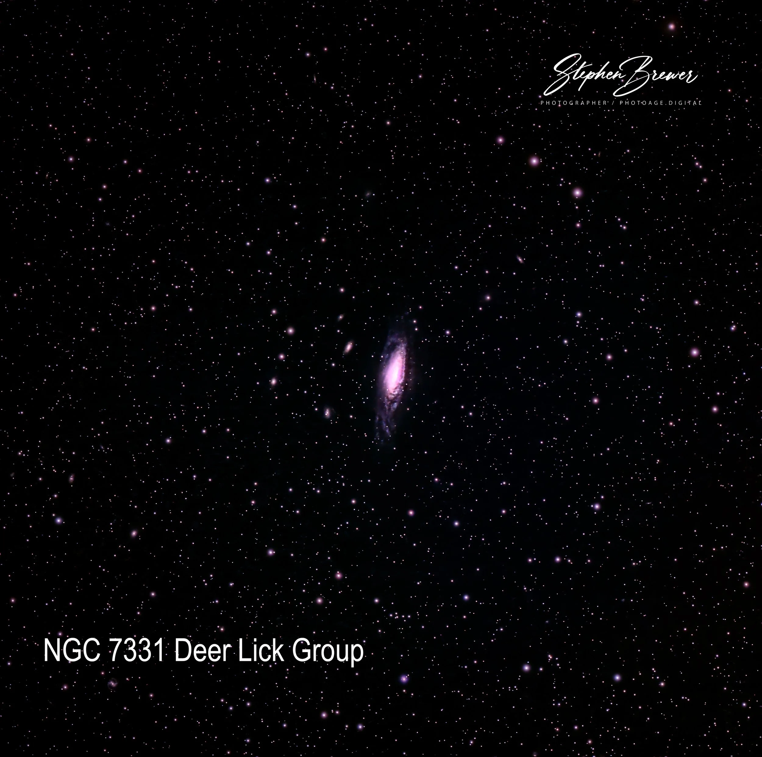 An image of deep space featuring numerous stars and galaxy formations with text overlay that reads 'Stephen Brewer Photographer / Photo-Image.Digital' and 'NGC 7331 Deer Lick Group' at the bottom.