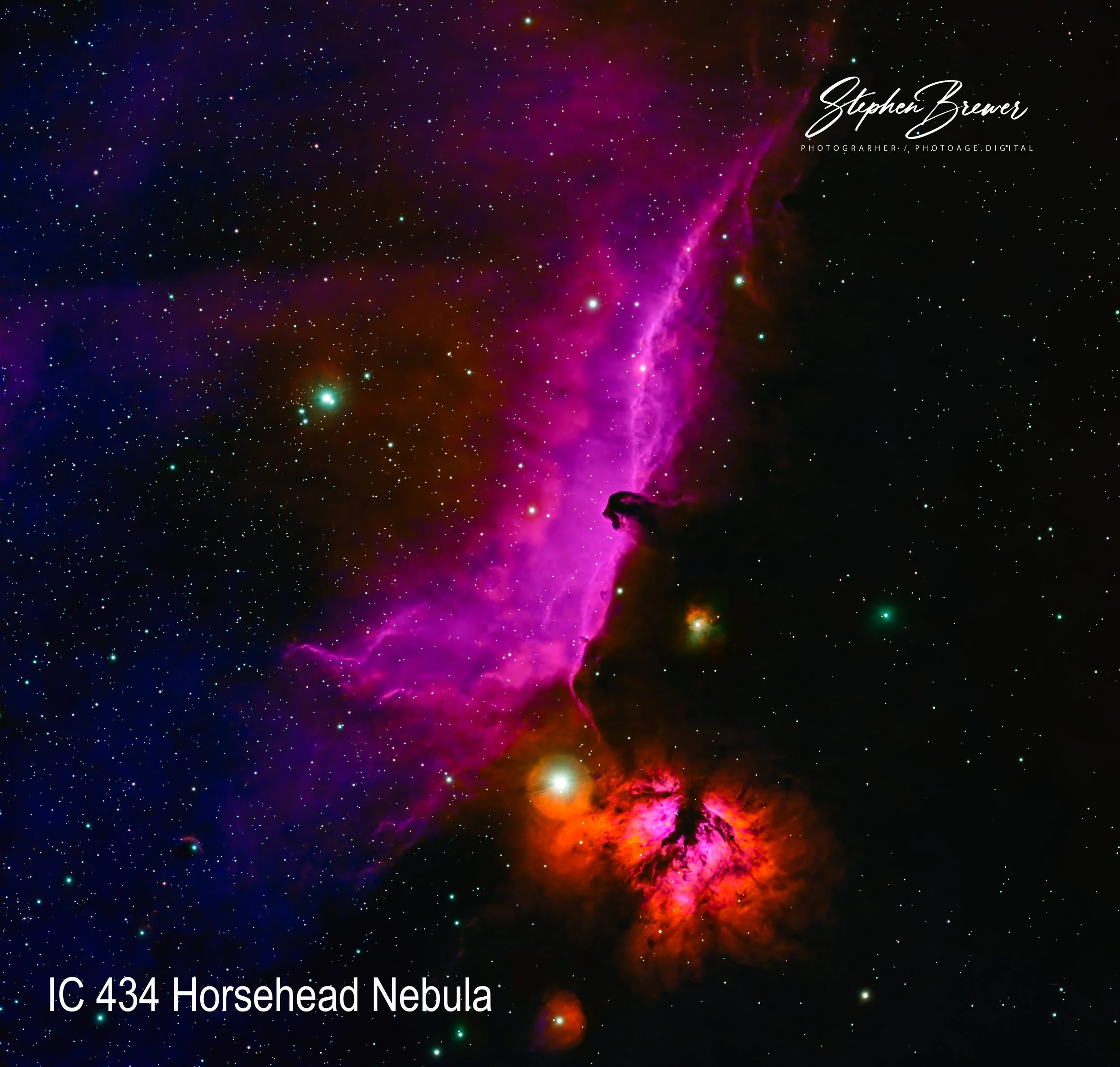 Bright, colorful image of the Horsehead Nebula in space with numerous stars. The nebula has distinct pink, purple, and orange hues. Text overlay says 'Stephen Brewer, Photographer/.Photoage.Digital' and 'IC 434 Horsehead Nebula'.