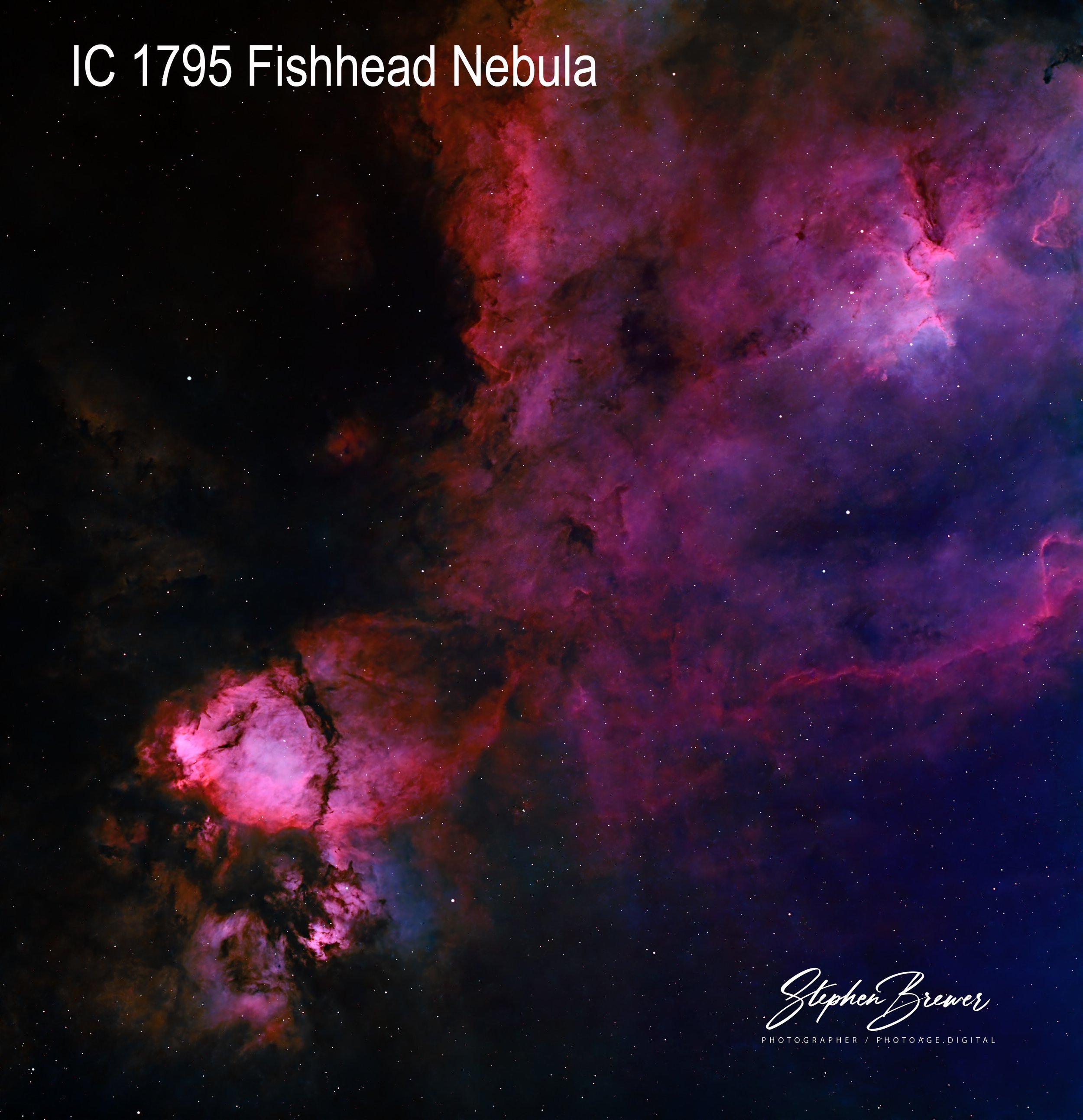 Image of a colorful nebula in space with pink, purple, and black hues, and text that reads 'IC 1795 Fishhead Nebula.'