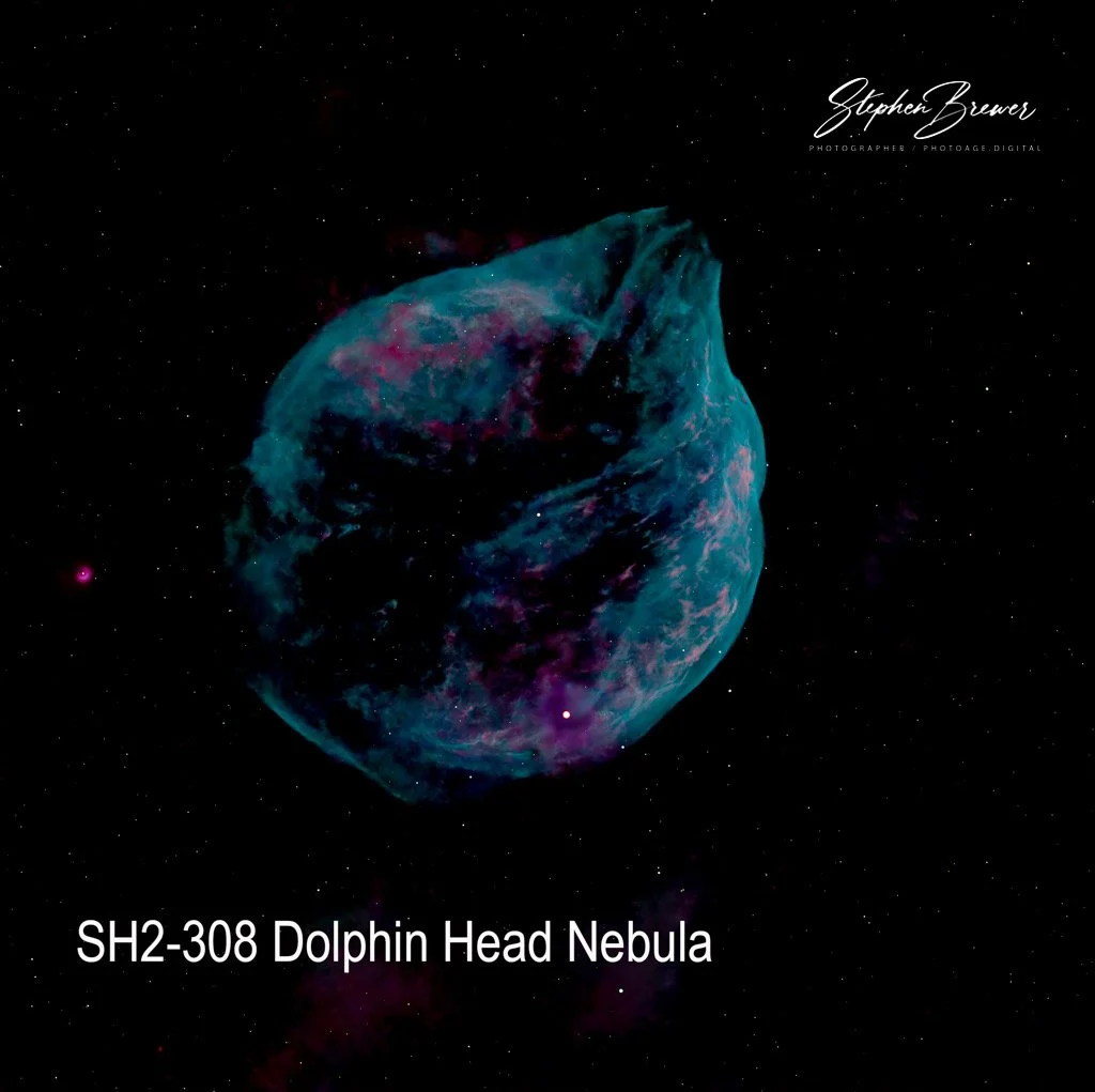 An image of the Dolphin Head Nebula, a colorful cosmic formation with vibrant blue and pink hues, set against a black starry background. The top right corner contains the photographer's signature, Stephen Brewer, and the bottom left corner has the te