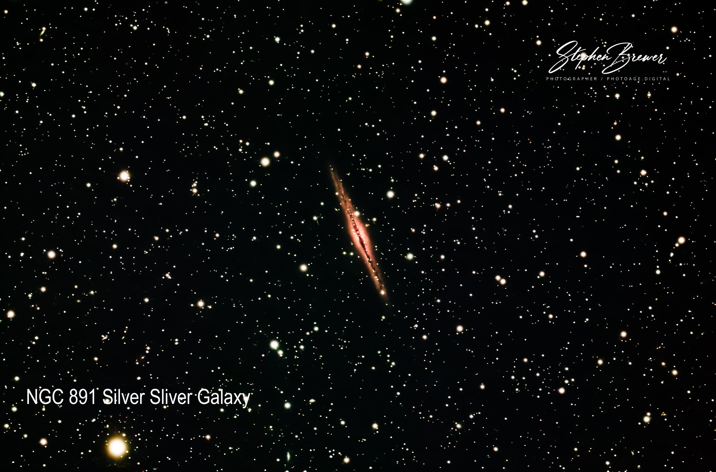 A photograph of the NGC 891 Silver Sliver galaxy seen against a backdrop of numerous stars and cosmic dust.