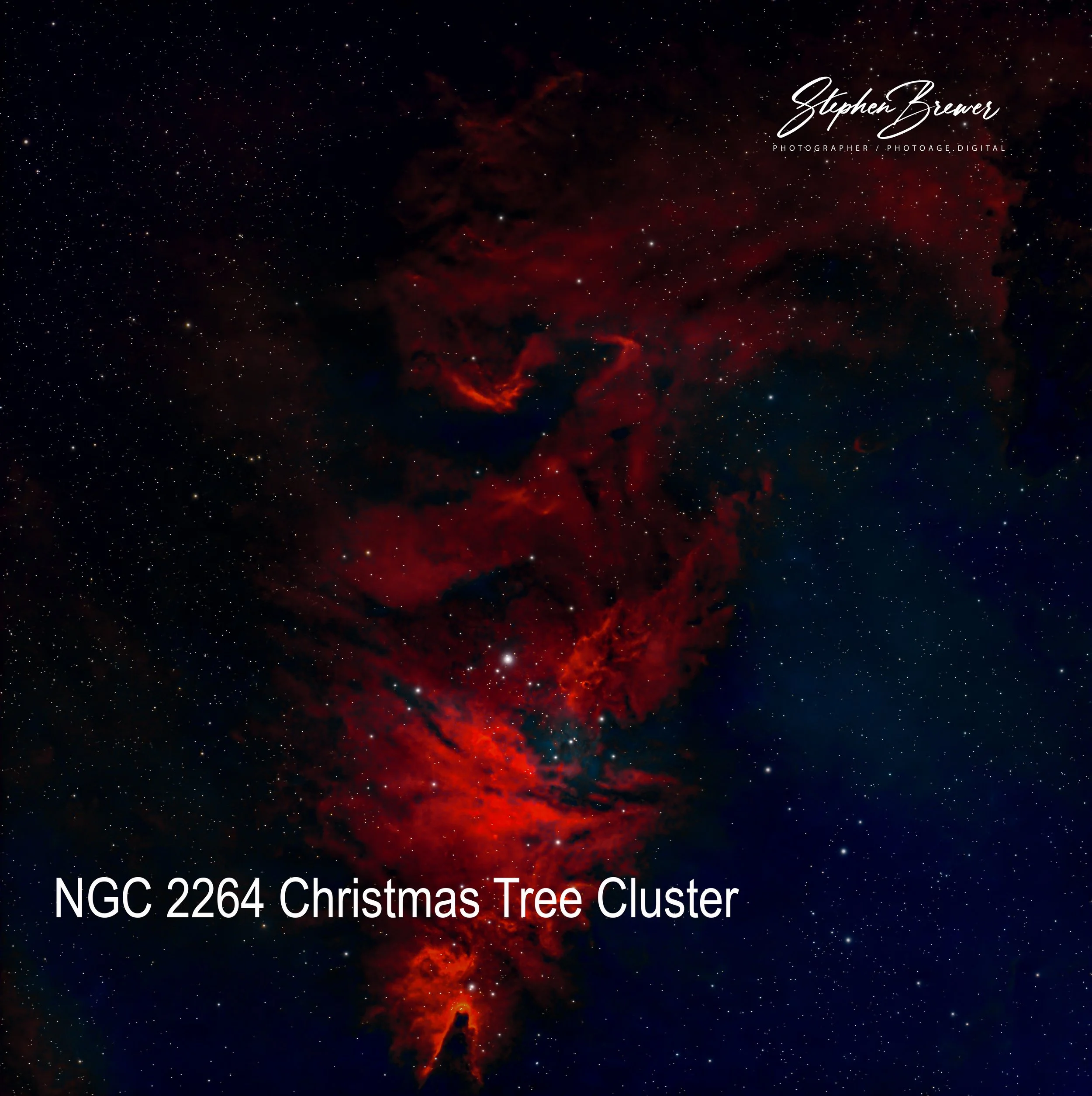 Deep space image of a red and orange nebula with numerous stars across the background. Text overlays identify it as the NGC 2264 Christmas Tree Cluster, with honor to photographer Stephen Brewer.