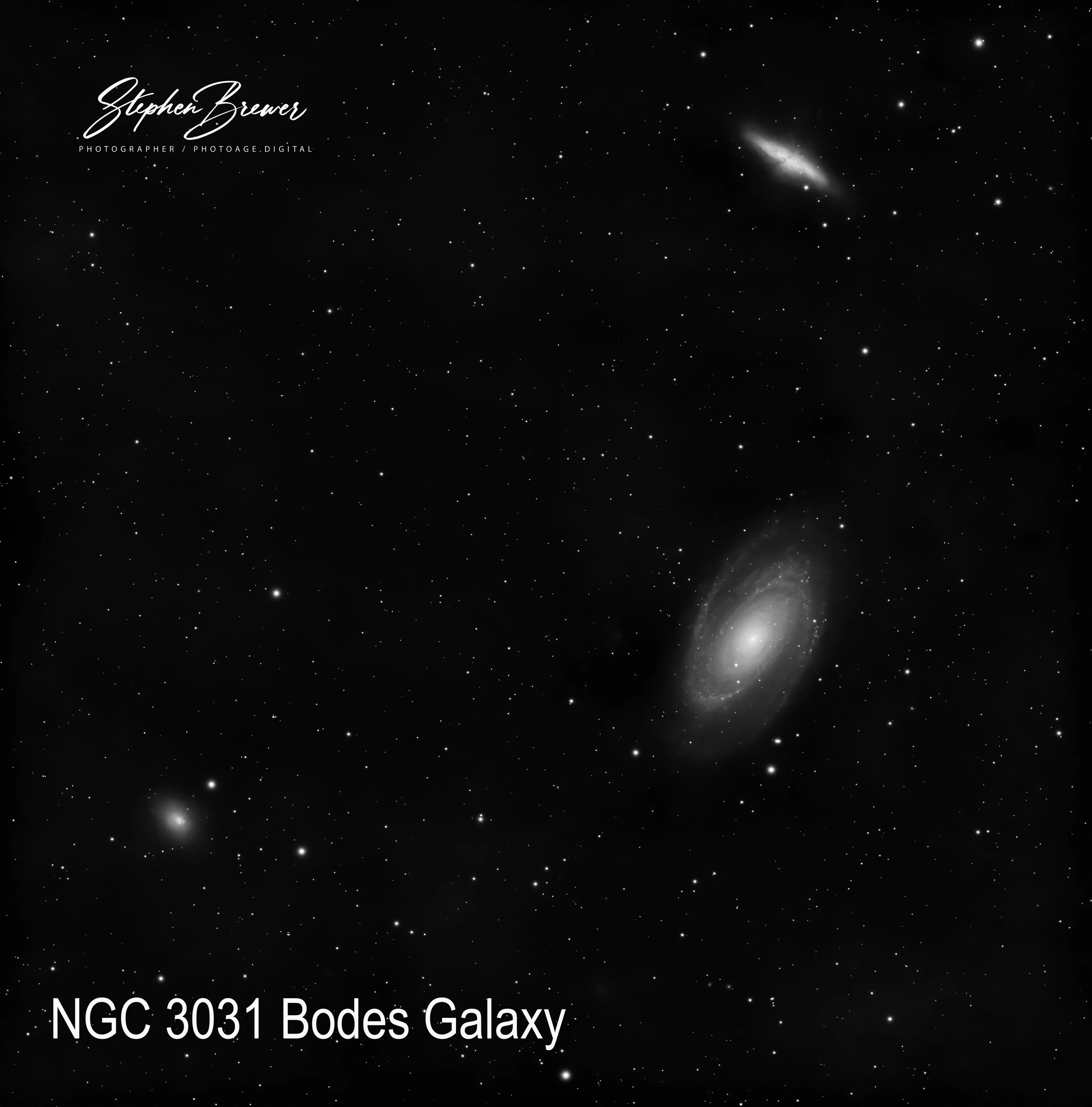 Black and white image of a star-filled galaxy with a bright core and spiral arms, labeled 'NGC 3031 Bodes Galaxy'.