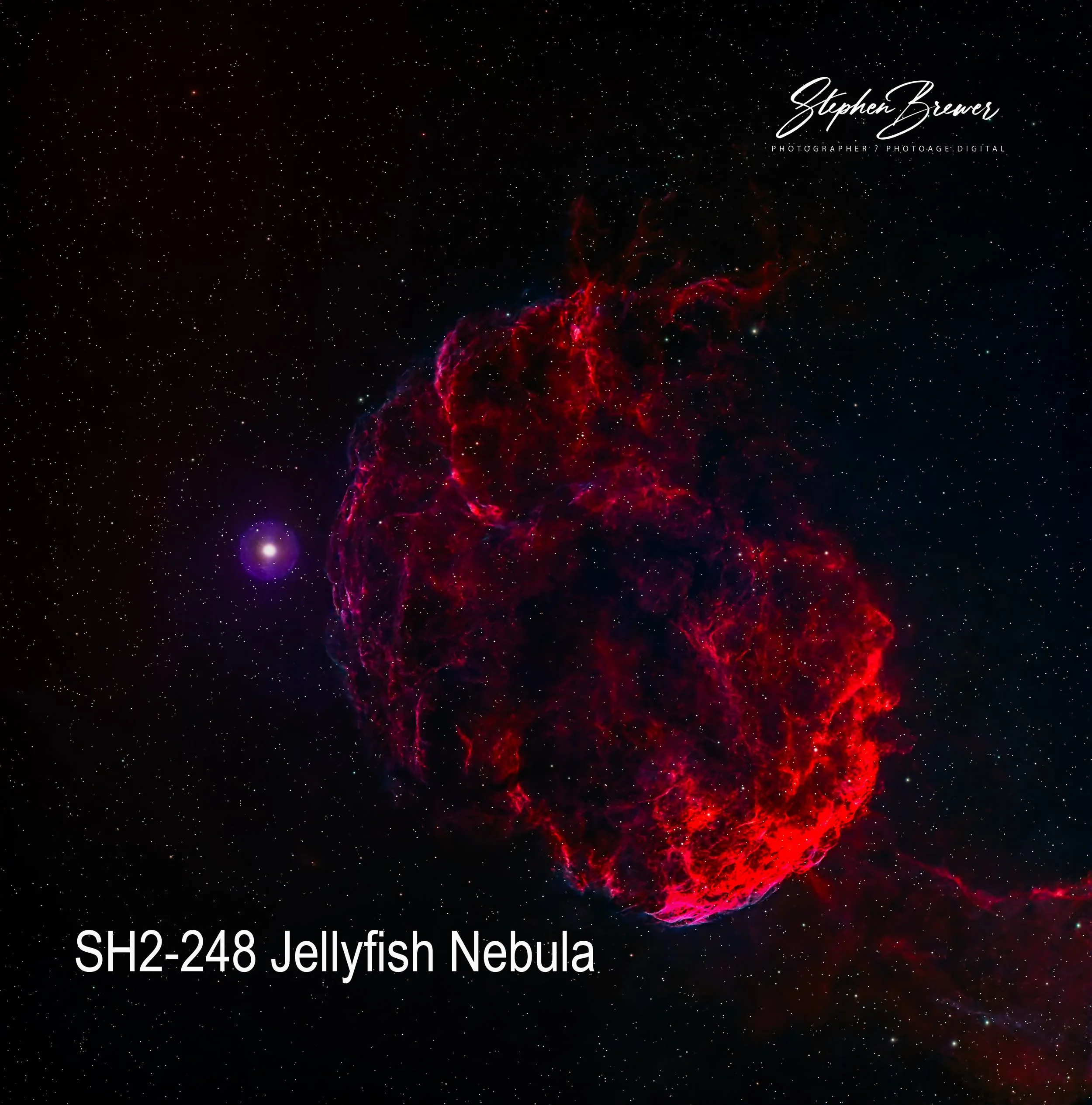 Image of a colorful nebula in space, with numerous stars scattered across the background. Text overlay indicates this is the SH2-248 Jellyfish Nebula, and the image is credited to Stephen Brewer, a photographer.