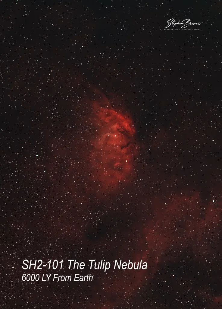 A photograph of the SH2-101 The Tulip Nebula showing its red, cloud-like structure filled with stars, taken from Earth.