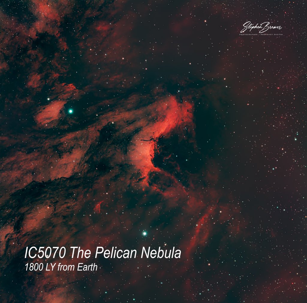 Deep space photo of the IC 5070 Pelican Nebula with red and dark dust clouds, many stars, and celestial phenomena, with text indicating it is the Pelican Nebula 1800 light-years from Earth, credited to Stephen Brewer.