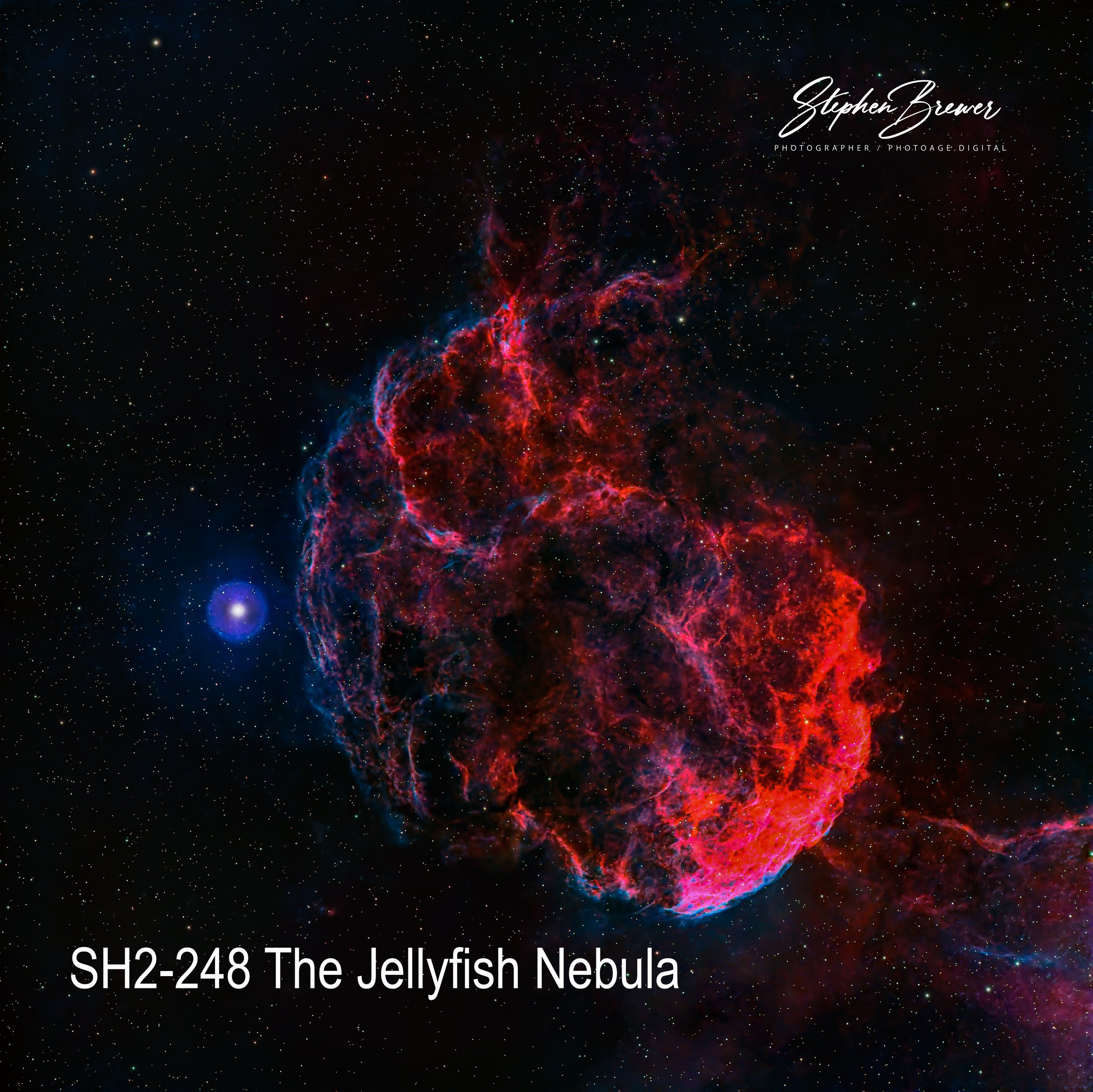 An image of the Jellyfish Nebula, a colorful interstellar cloud with intricate red, pink, and blue wisps, surrounded by countless small stars in the background. Text on the image includes the name 'SH2-24B The Jellyfish Nebula' and the photographer's