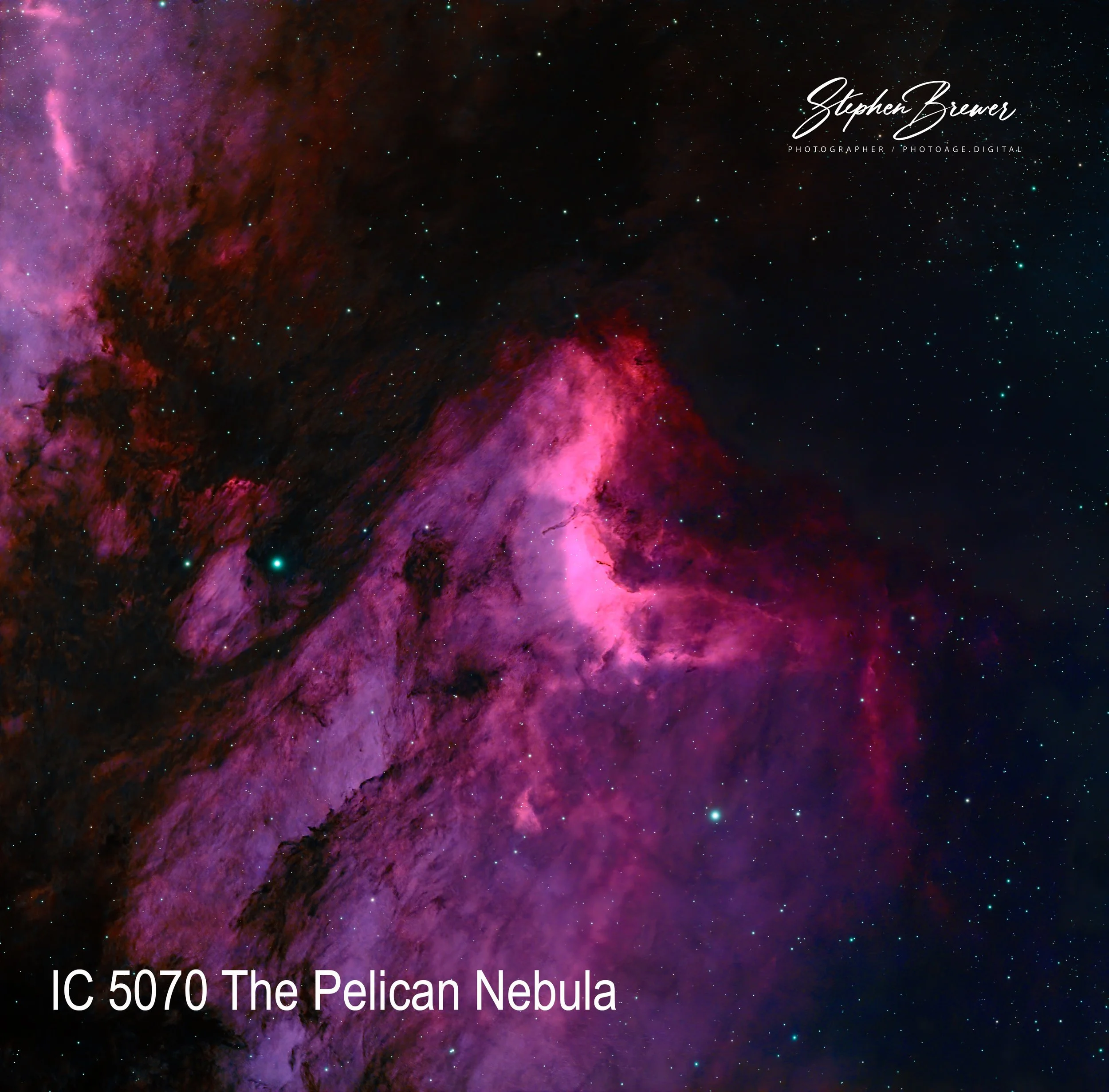 Colorful image of the Pelican Nebula with pink, purple, and red hues, containing stars and cosmic dust, with text overlay reading IC 5070 The Pelican Nebula.