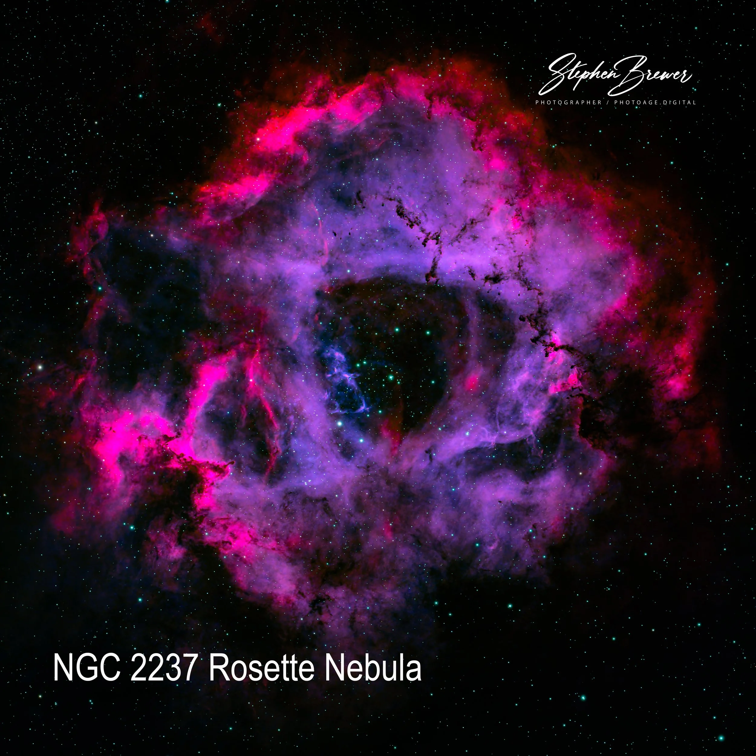 An image of the Rosette Nebula, a colorful cosmic cloud with pink, purple, and blue hues, filled with stars and dust, labeled with text 'NGC 2237 Rosette Nebula' and a watermark of the photographer's name.