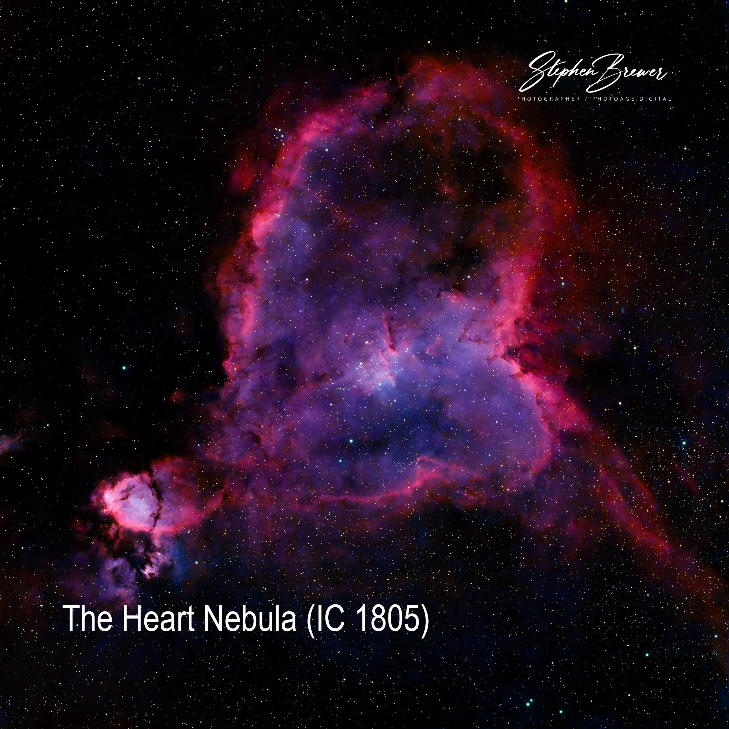 Colorful image of outer space showing the Heart Nebula with bright pink and purple nebula clouds and numerous small stars.