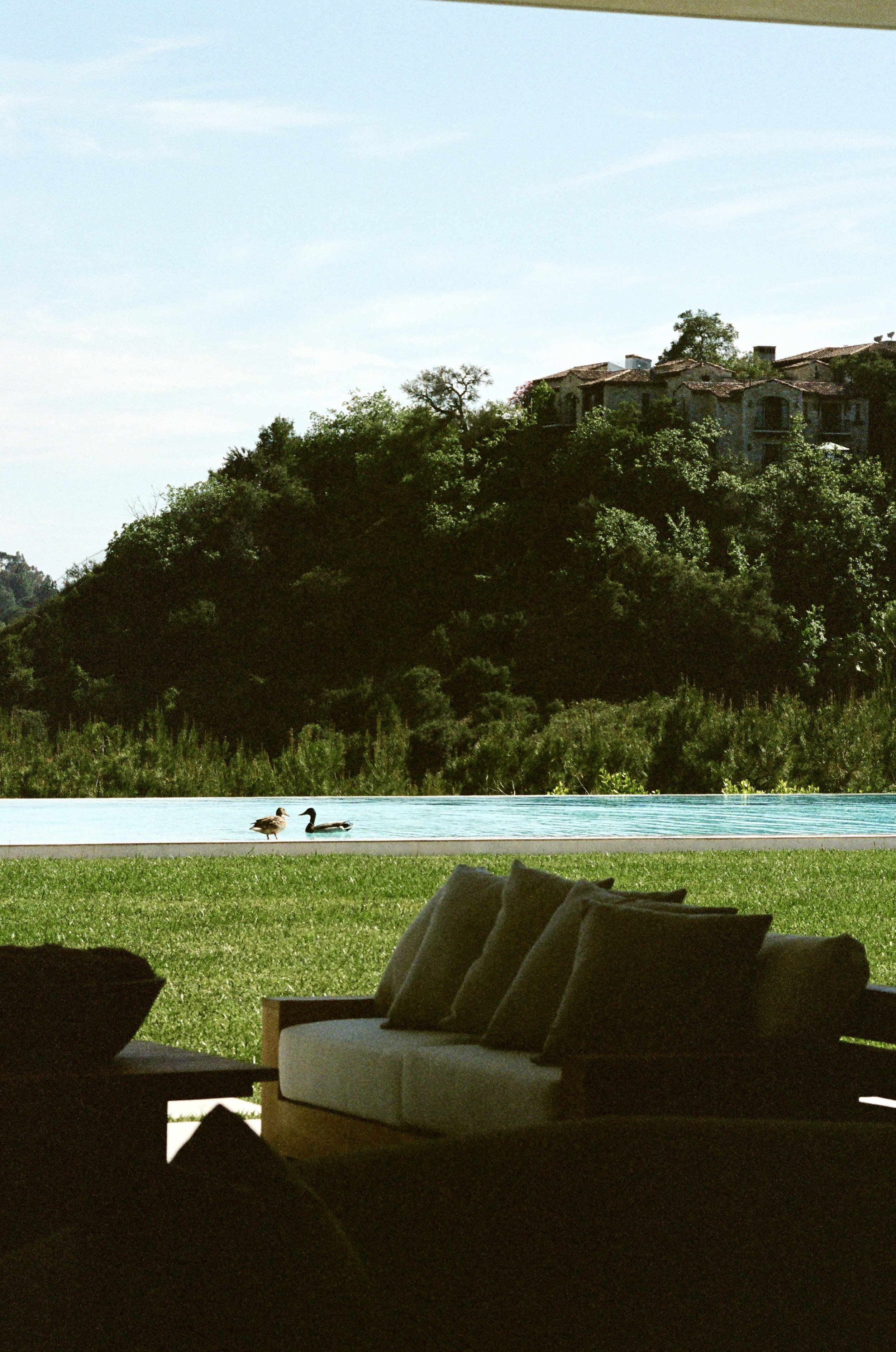 View of a hillside with houses surrounded by trees, a pool with two ducks, and a patio with chairs and cushions in the foreground.